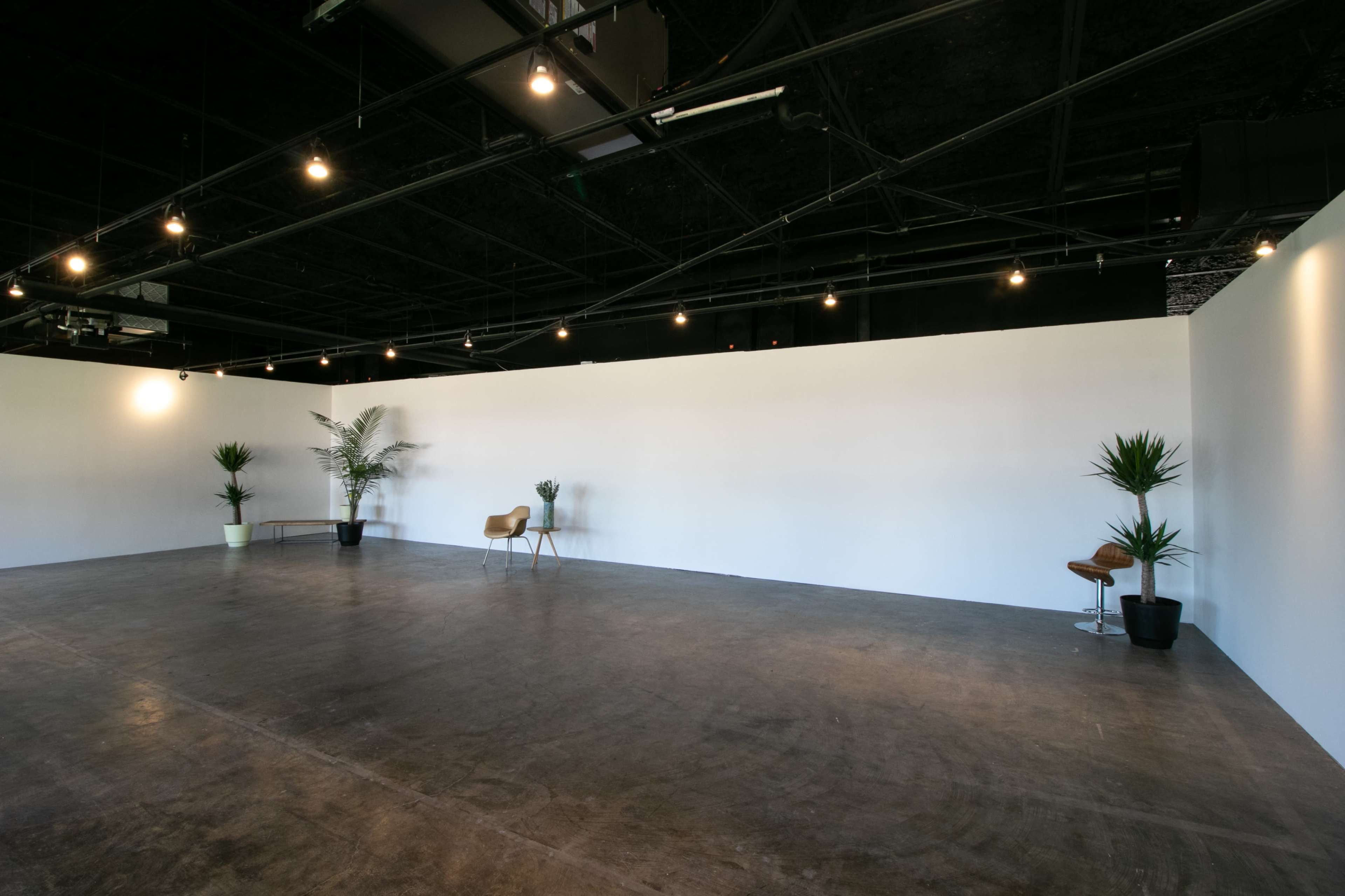A spacious, empty room with a smooth floor, two potted plants on either side, and overhead lighting.