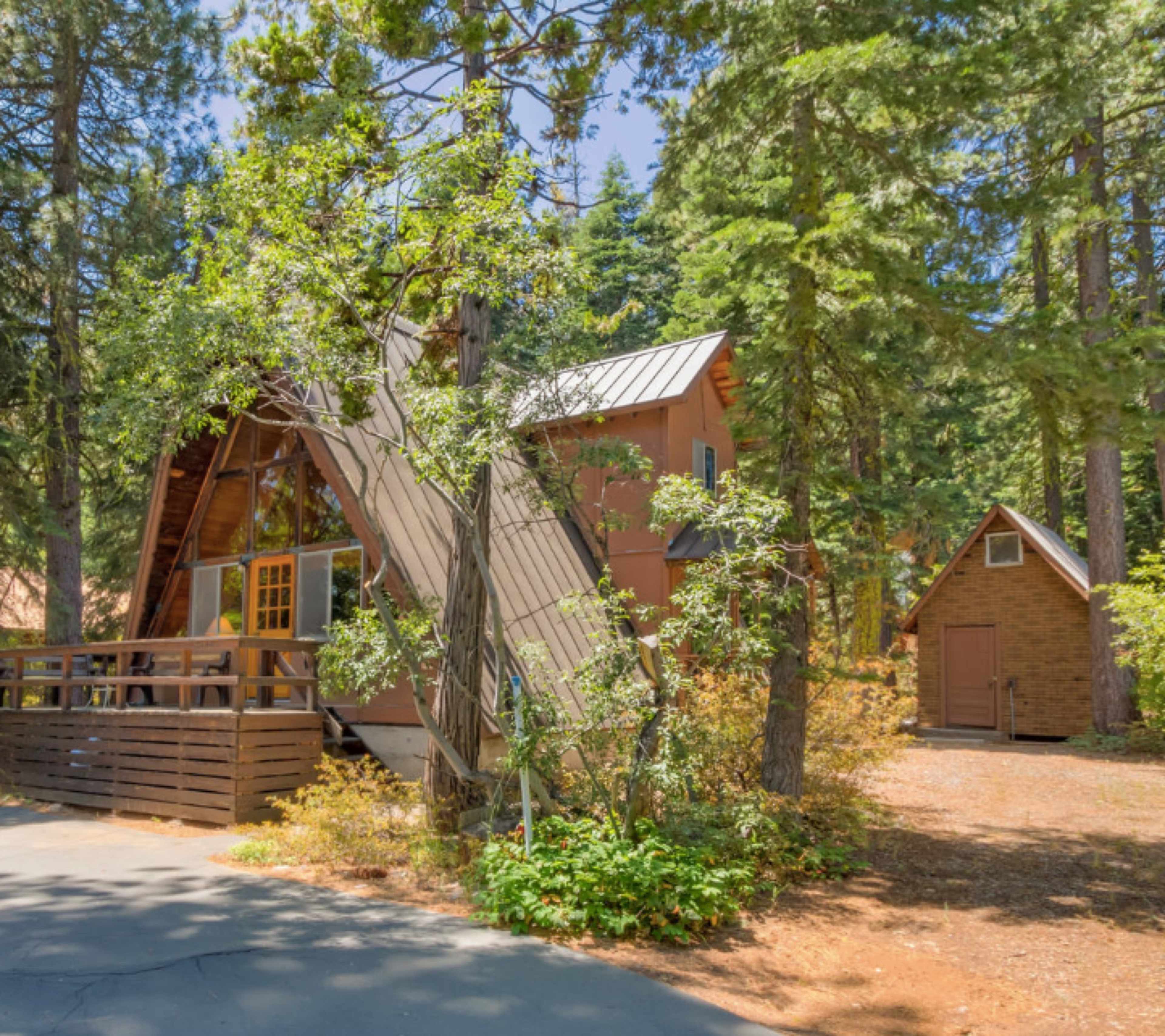 A rectangular A-frame cabin with large front windows is surrounded by lush trees and a smaller structure nearby.