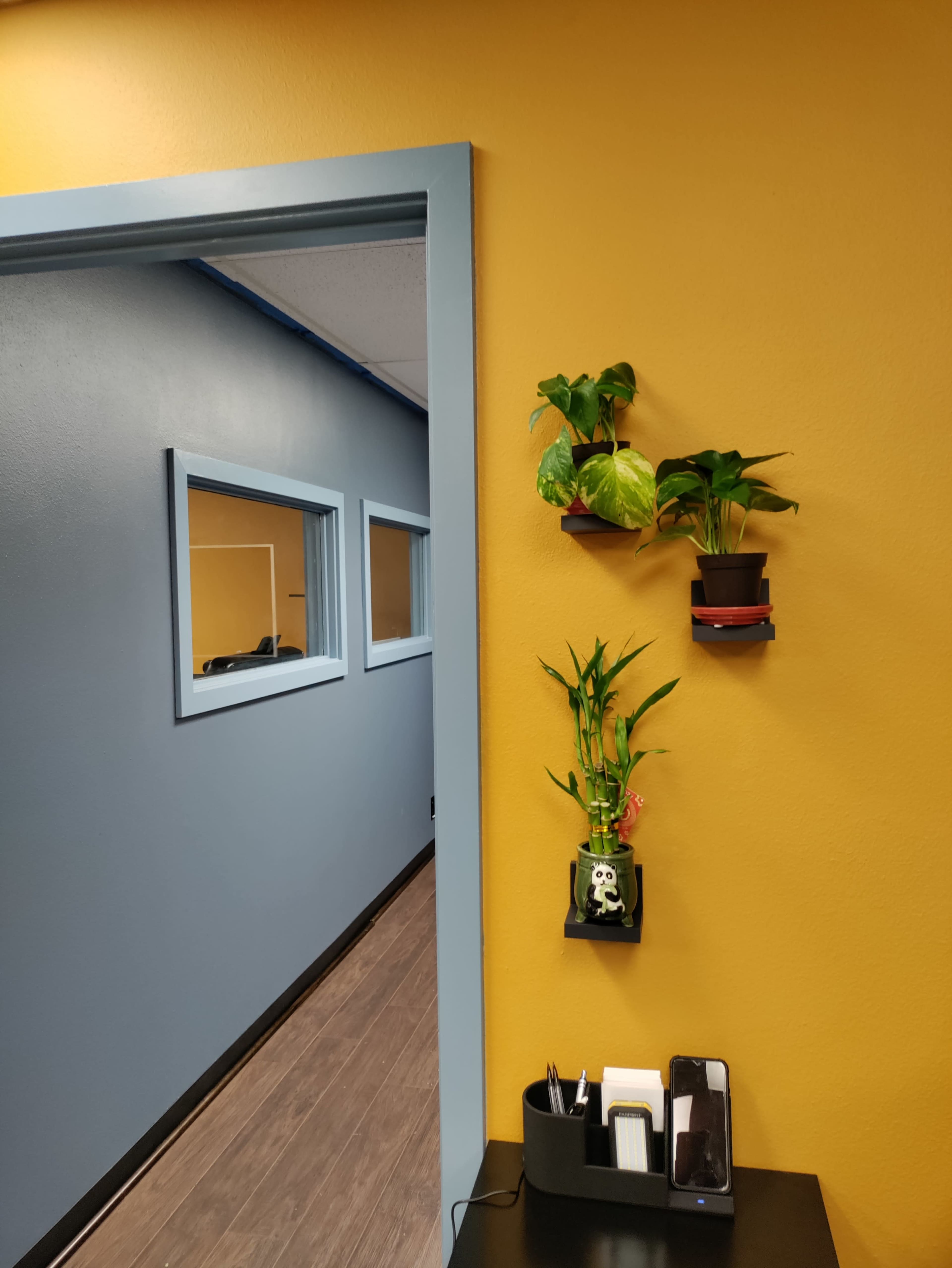 A doorway leading to a room with yellow and blue walls, featuring potted plants on the wall and a desk with office supplies.