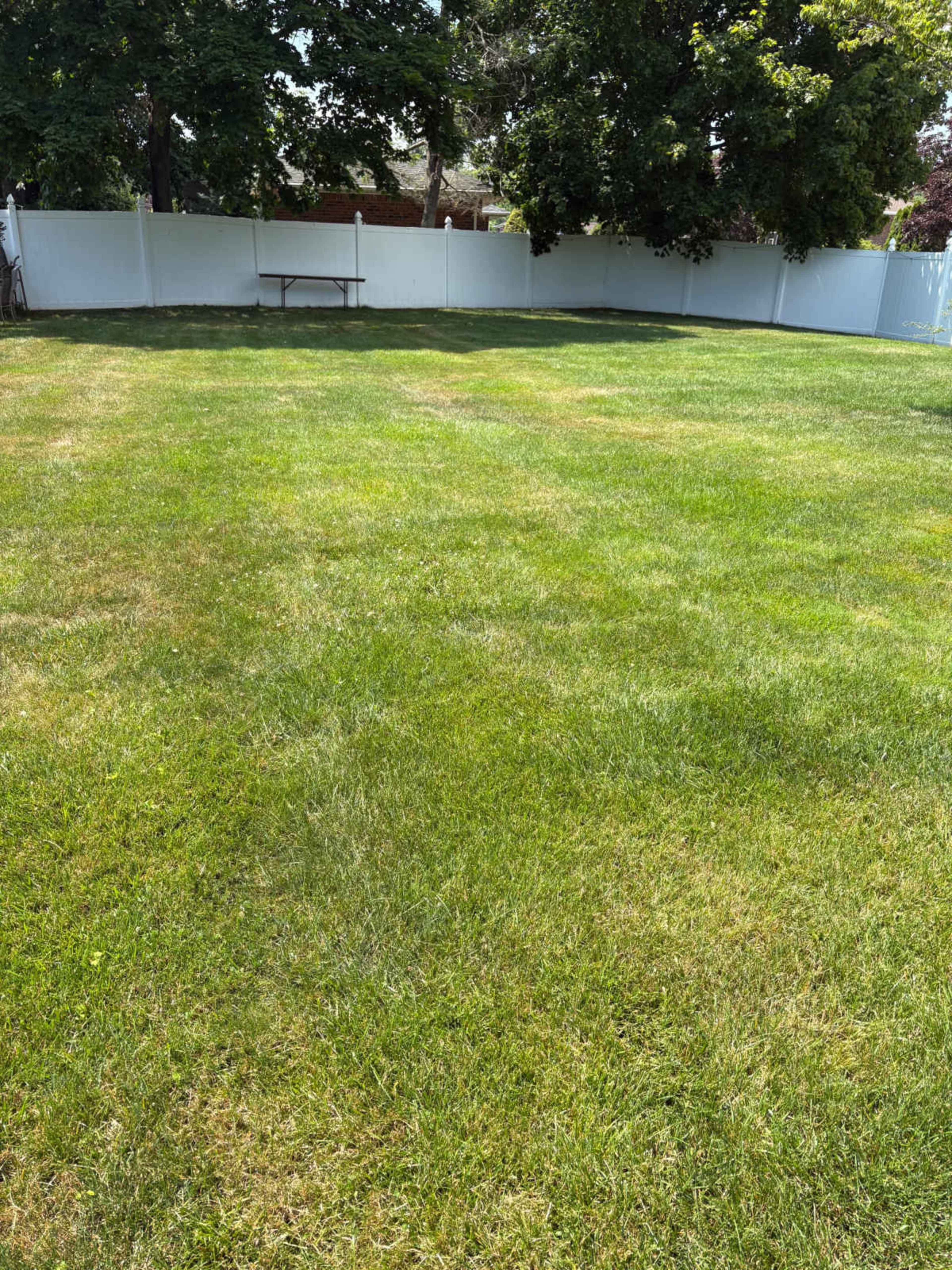 The image shows a lush green lawn with a white fence and a picnic table in the background.