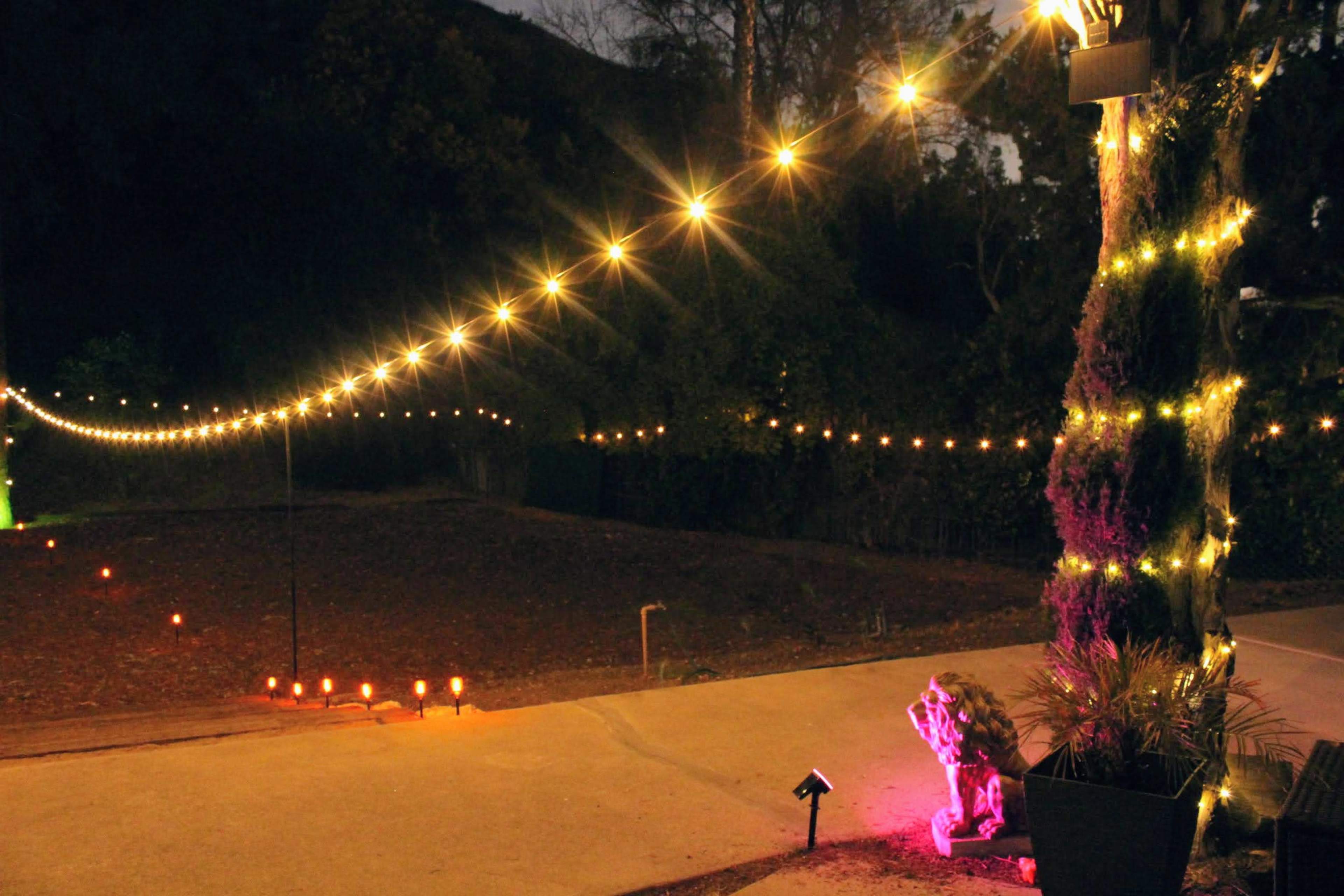 Enchanted "Forest" Backyard Venue Image in Woodland Hills, Woodland Hills, CA