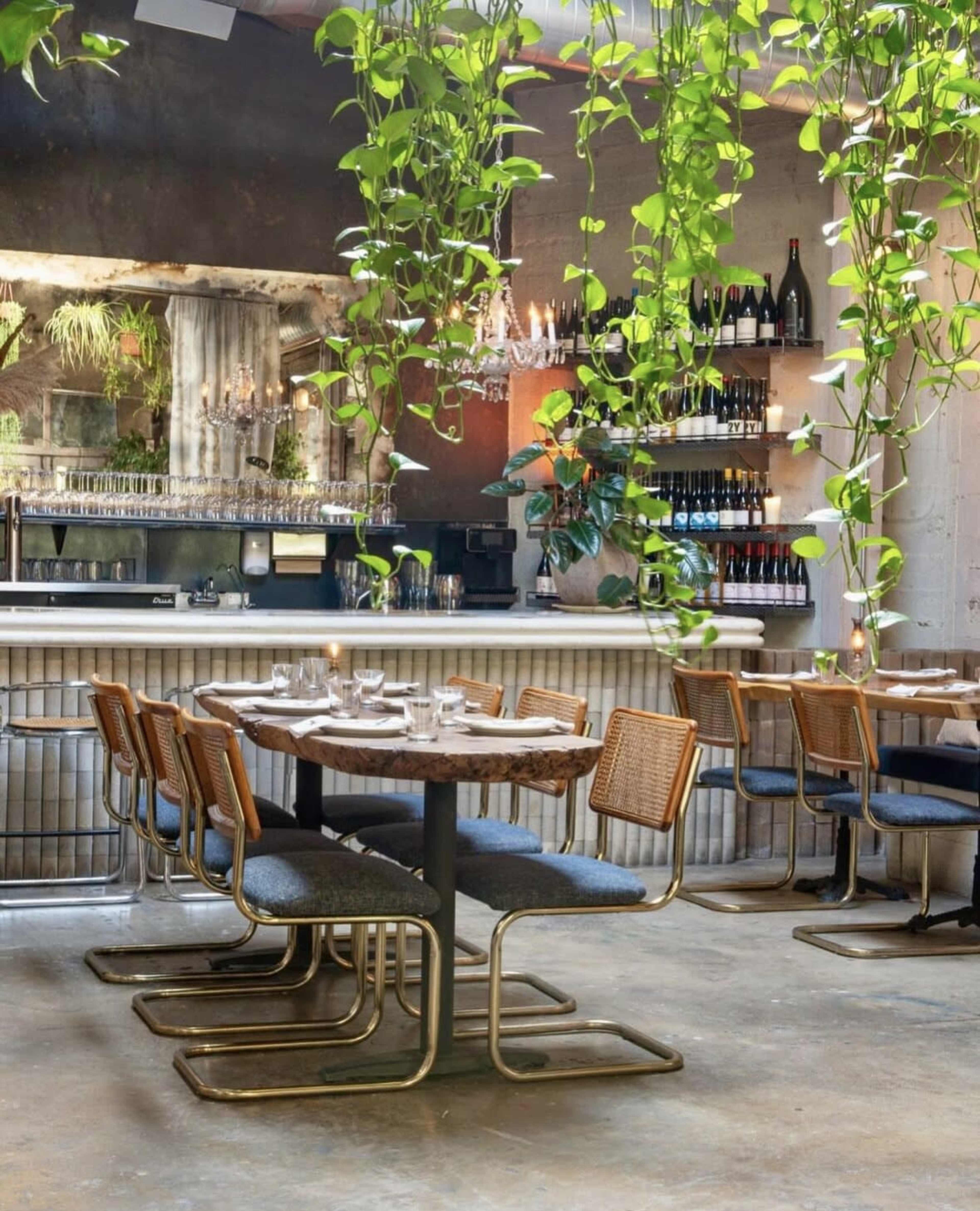 The scene features a modern restaurant with wooden tables, woven chairs, hanging green plants, and a bar stocked with bottles in the background.