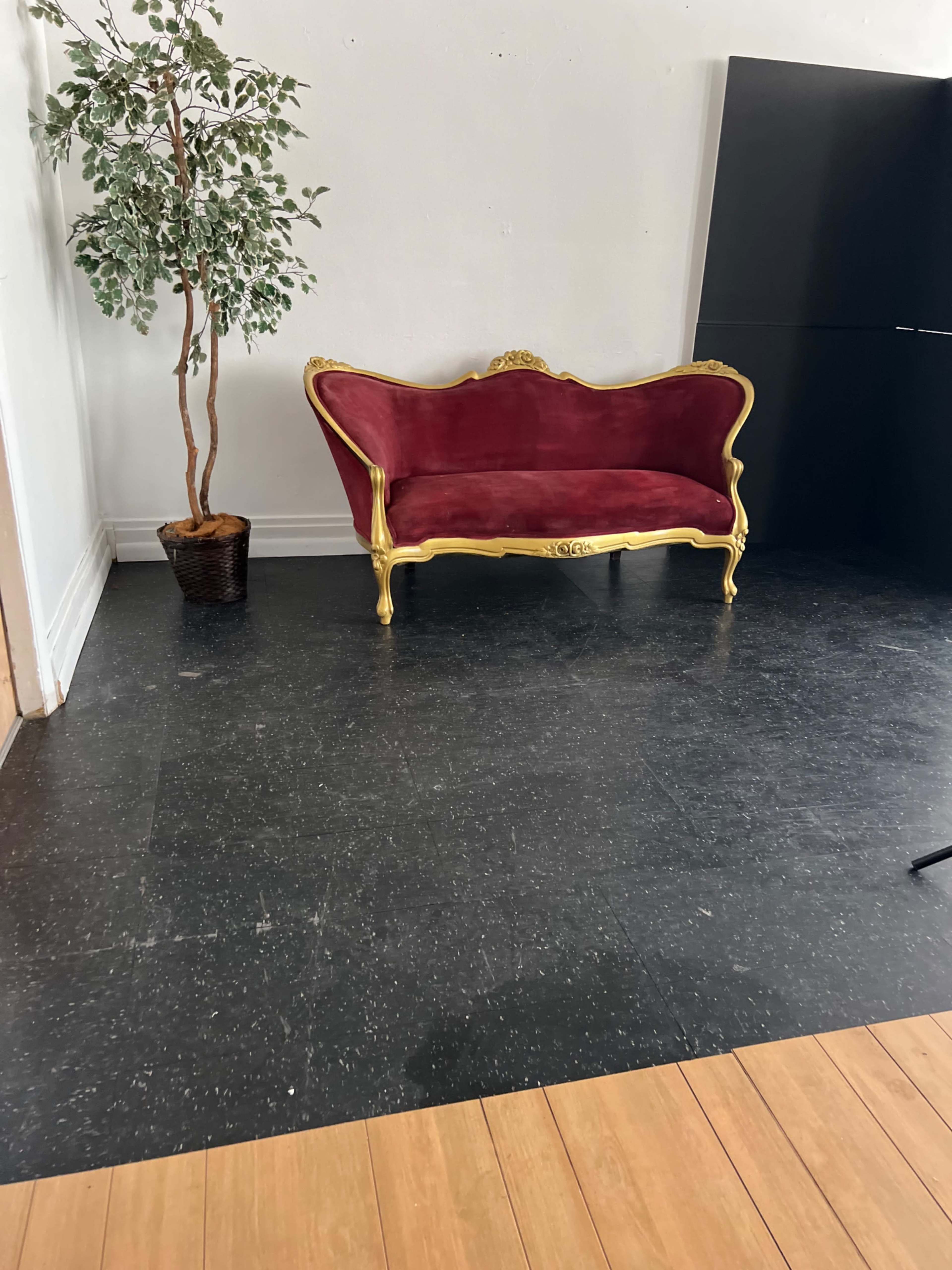 A red velvet sofa with a gold frame sits near a potted tree on a dark floor.