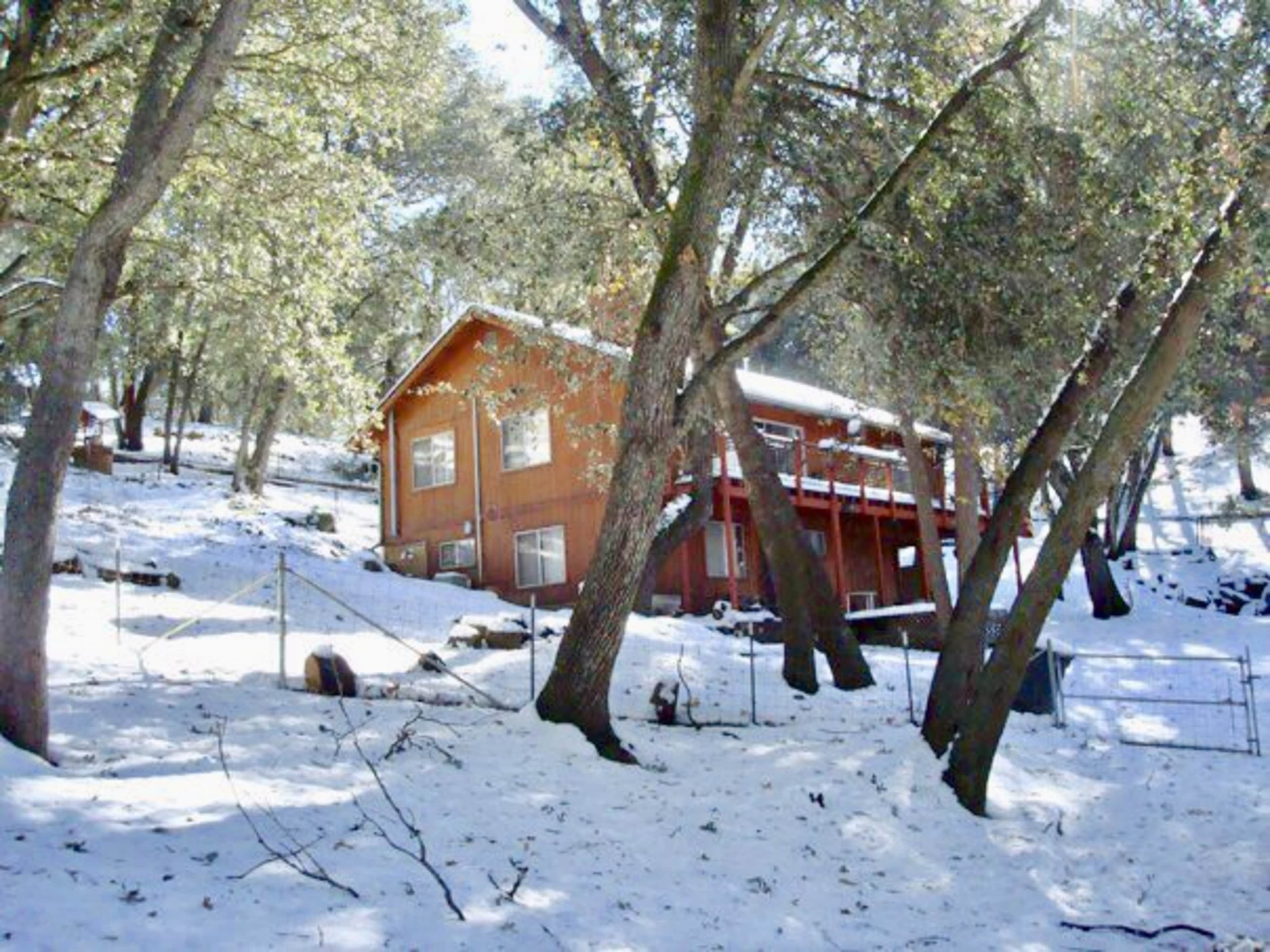 A wooden house sits among trees on a snowy hillside.