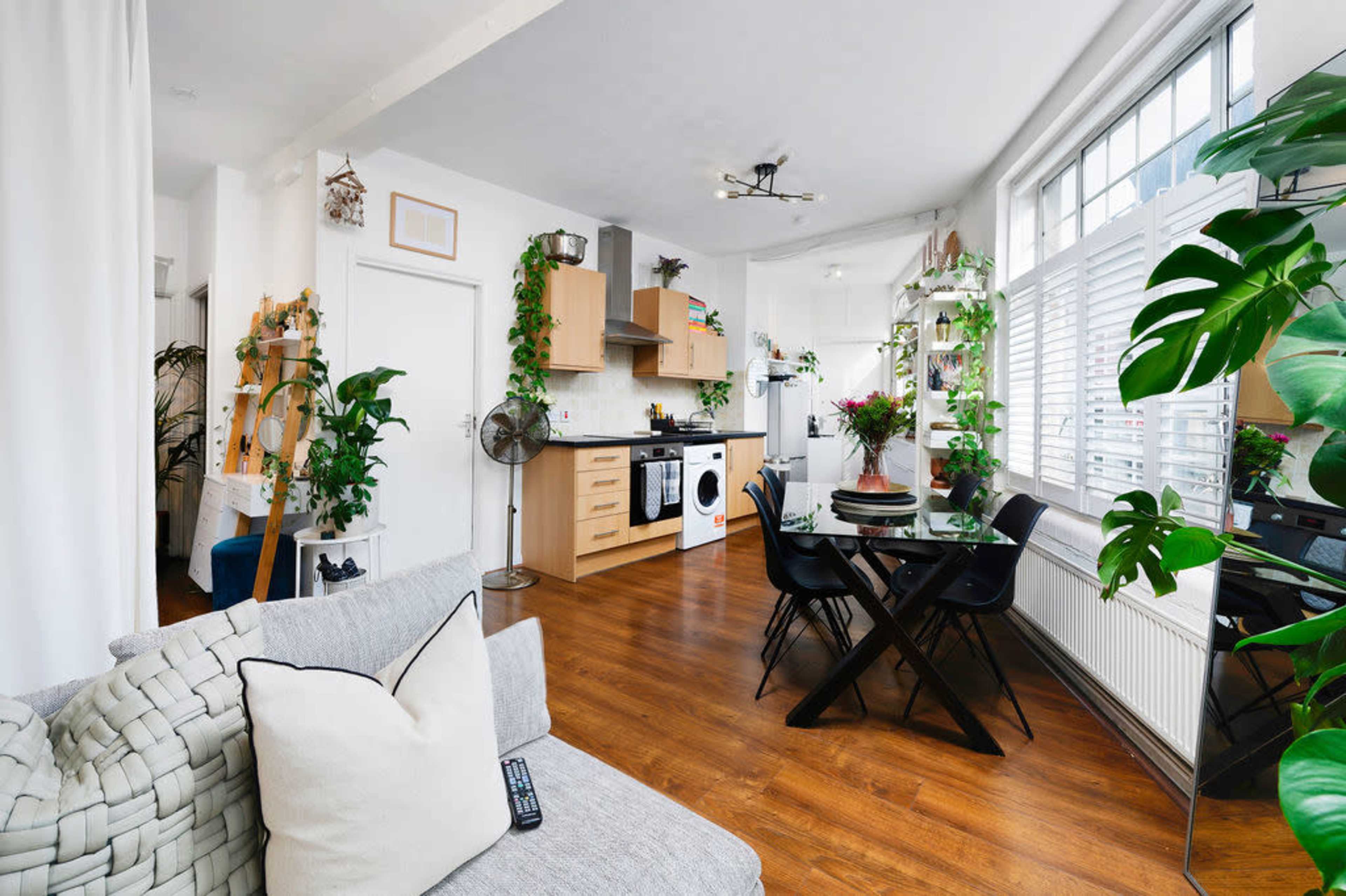 A bright, open-plan living space features a kitchen and dining area with wooden flooring, modern appliances, and various houseplants.