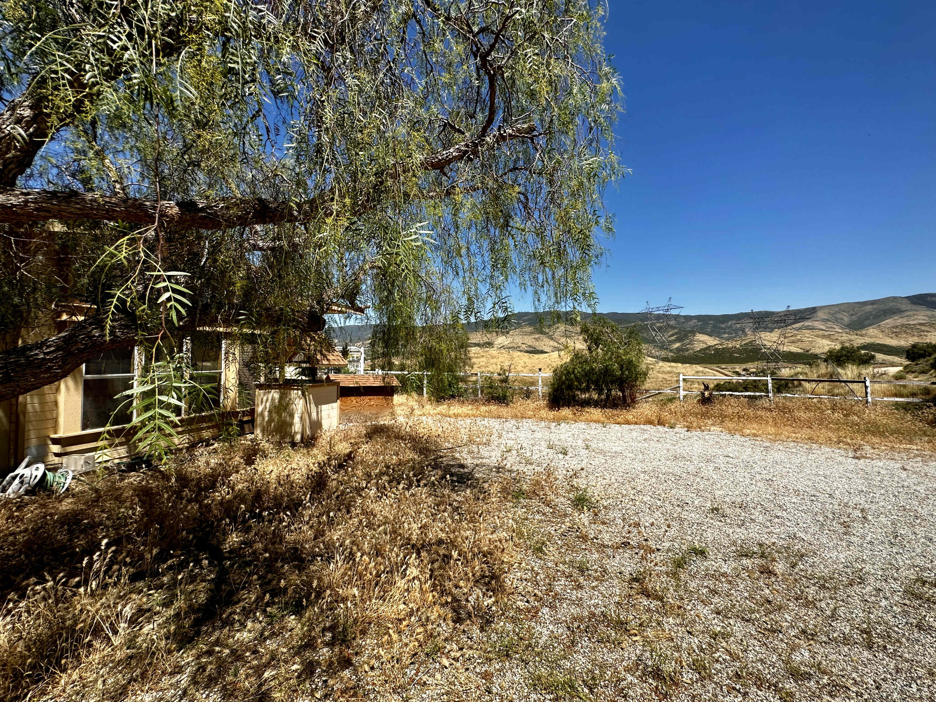 A gravel pathway leads through overgrown vegetation to a house with a view of rolling hills under a clear blue sky.