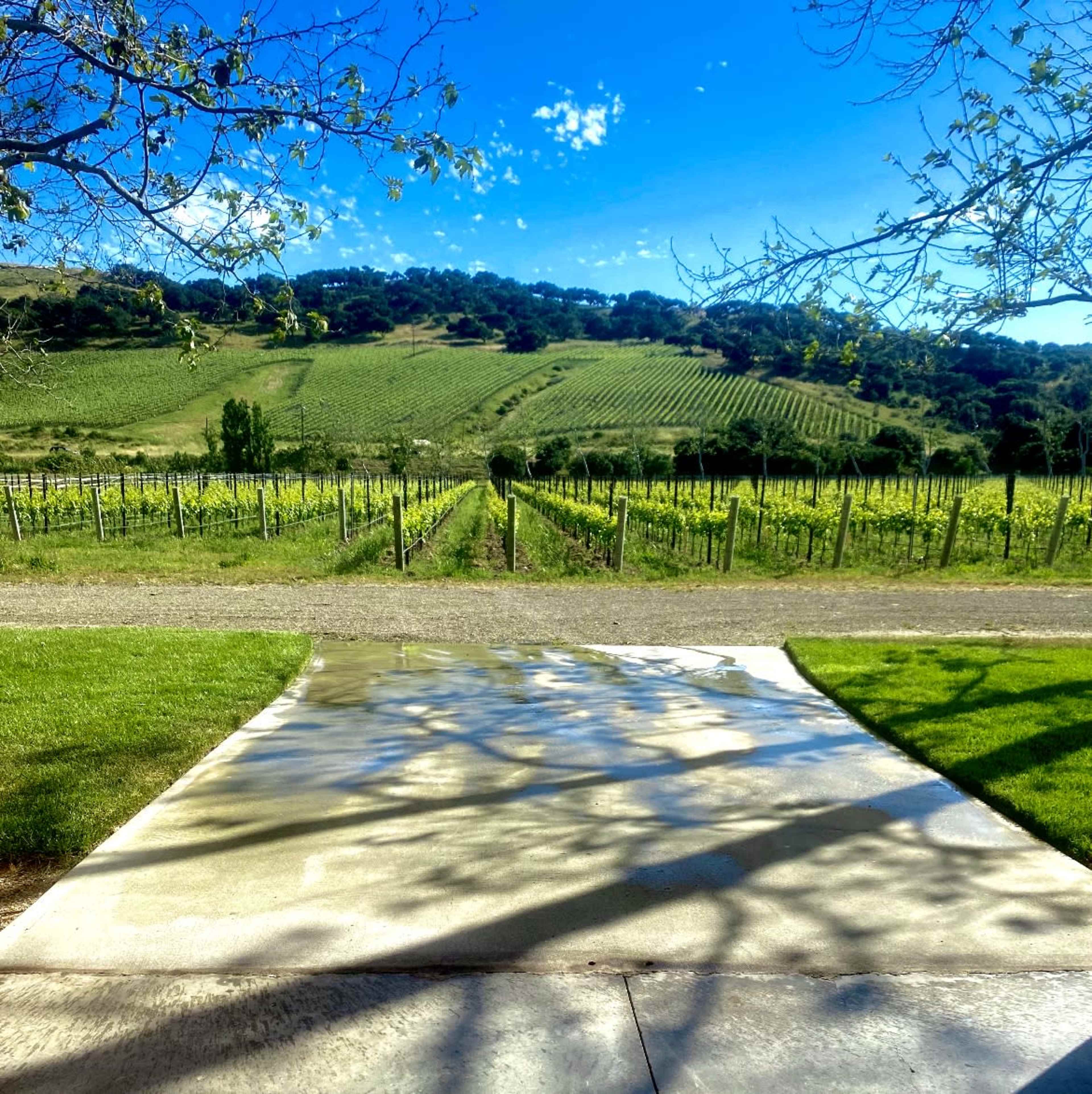 Slay Estate — Wine, Views, and Magic Image in , Lompoc, CA