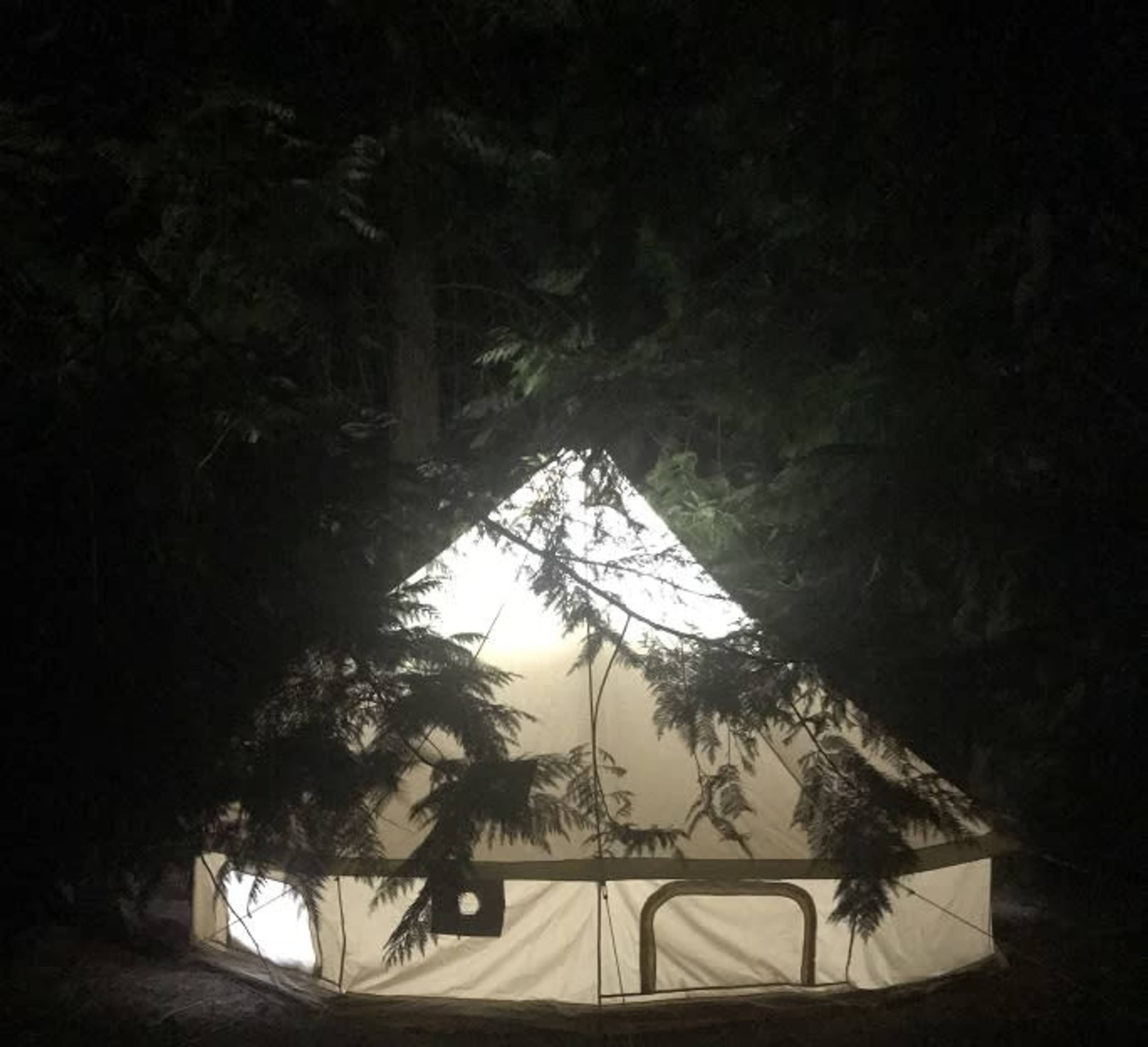 A lit tent stands in a dark forest, partially obscured by trees.