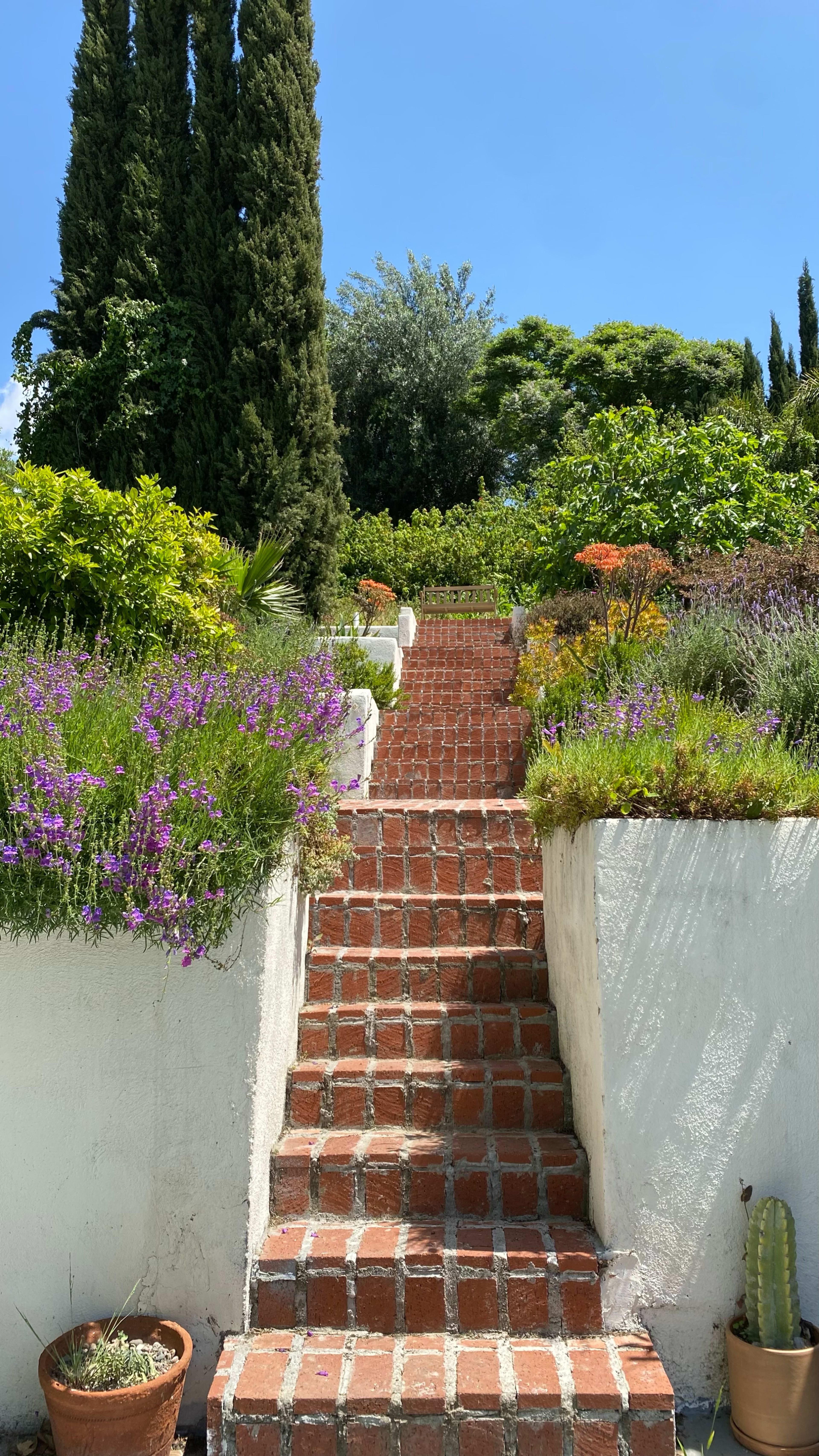 A set of brick stairs leads up through lush greenery and blooming flowers to a garden area.