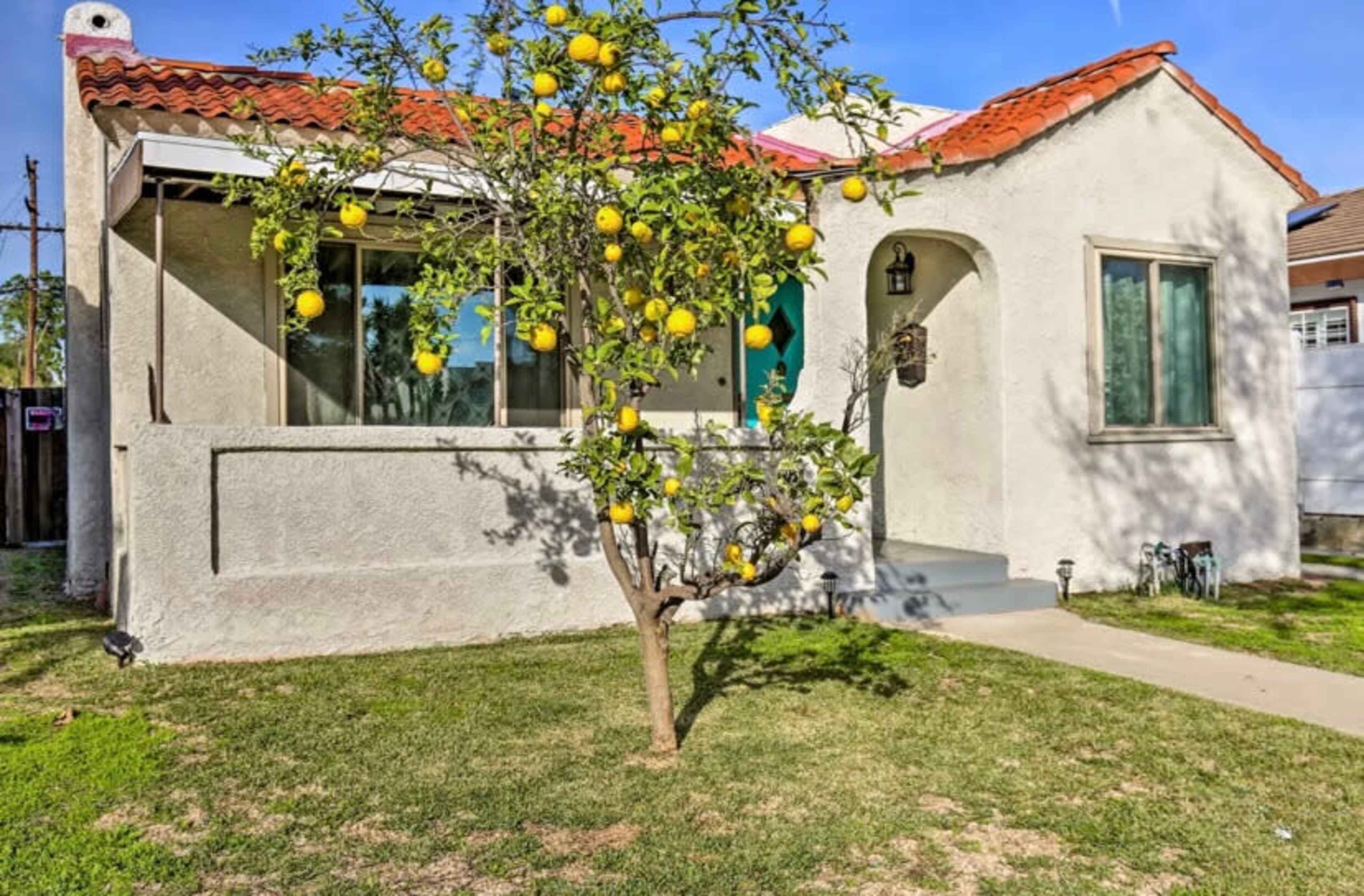 A single-story house with a light-colored exterior, a red-tiled roof, and a lemon tree in the front yard with several lemons hanging from its branches.