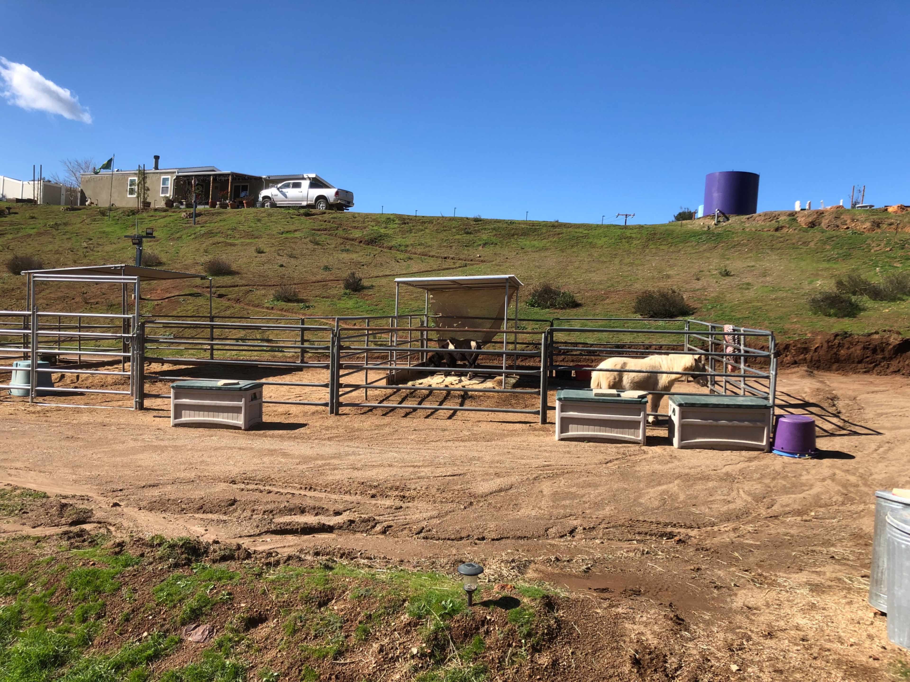 The image shows a rural landscape with several animal enclosures, a truck parked nearby, and a house in the background on a grassy hill.