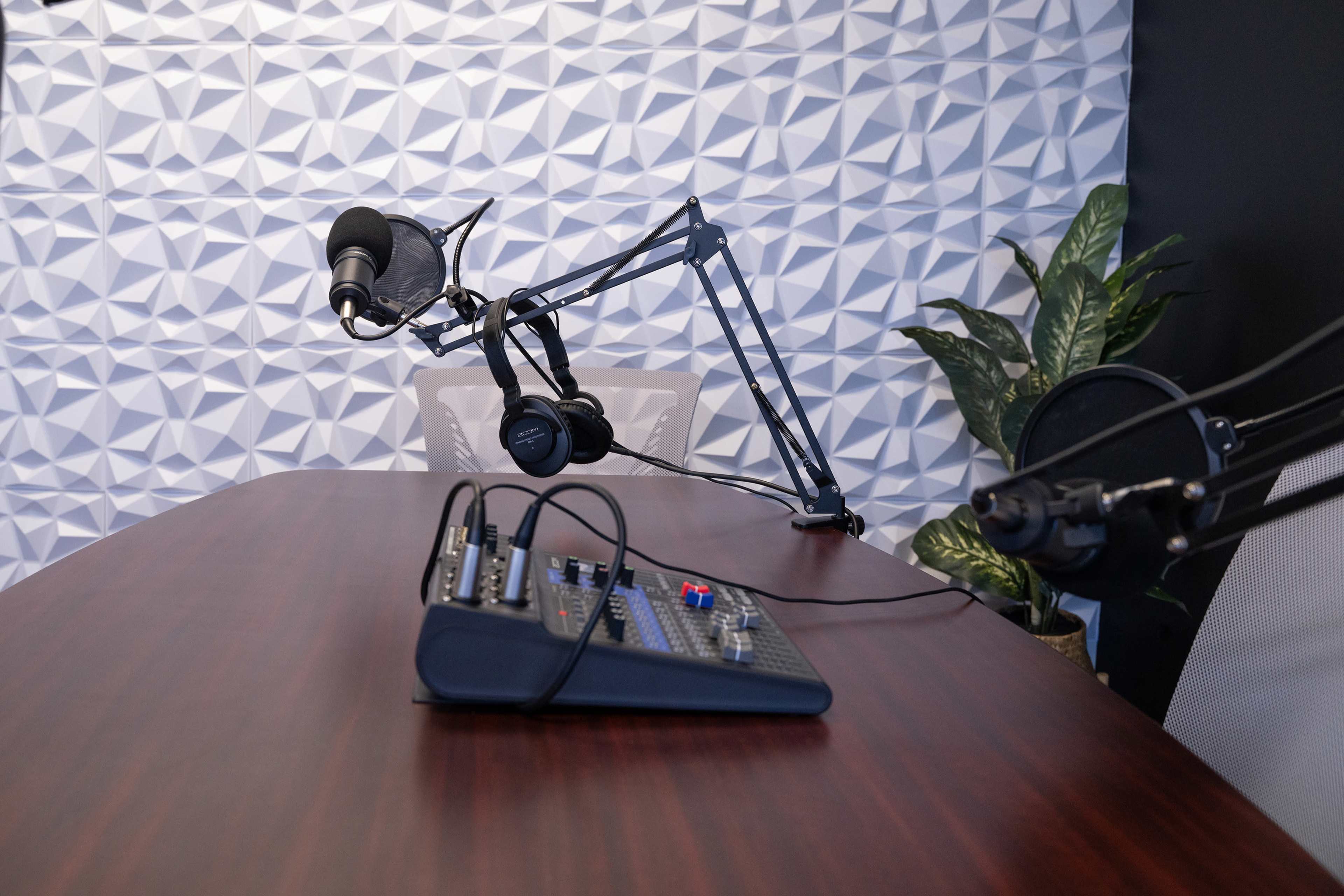 A wooden table with a microphone setup and audio mixer is positioned in front of a textured white wall, accompanied by a leafy plant.