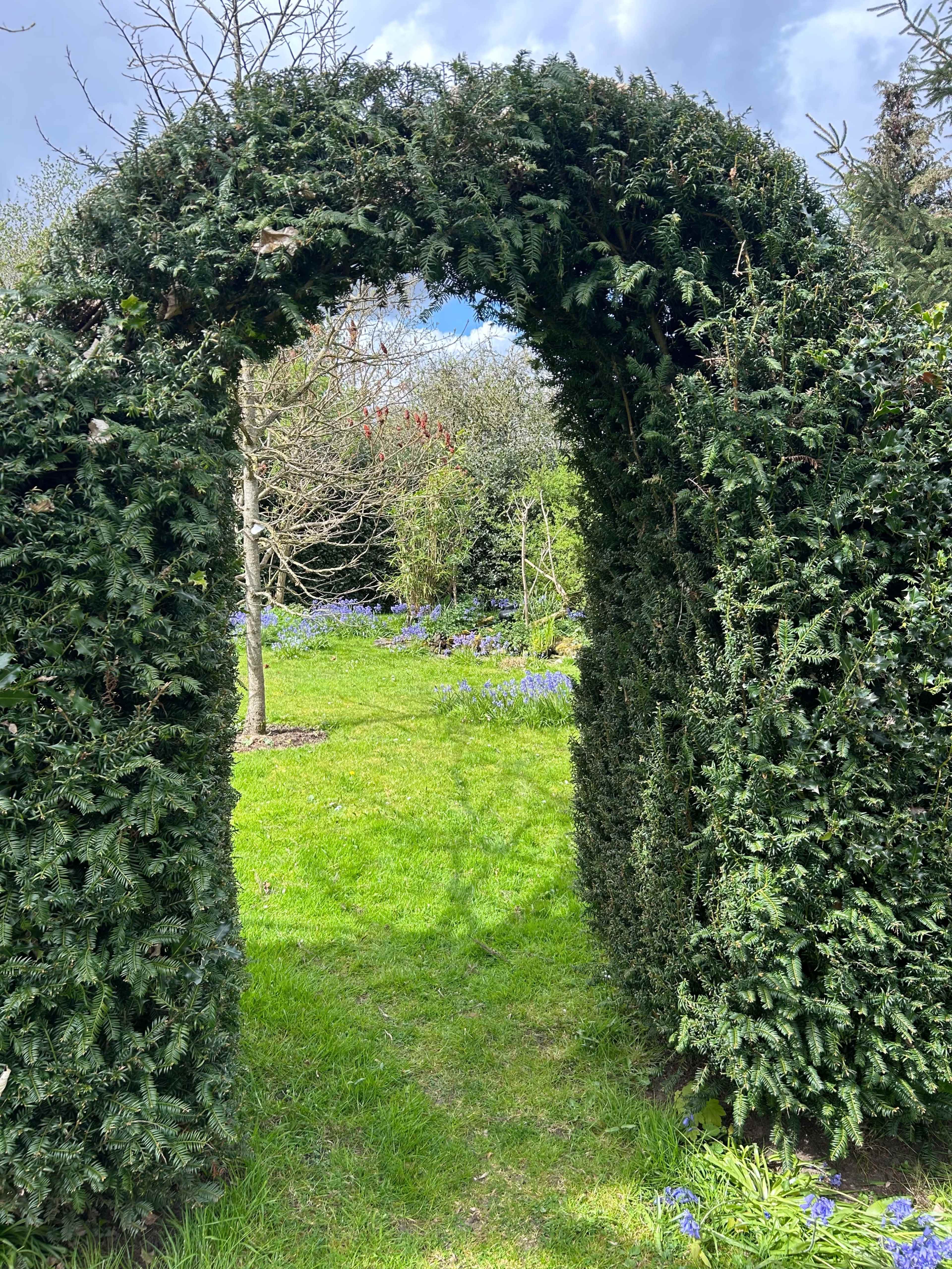 A curved hedge forms an archway leading into a grassy area dotted with purple flowers.