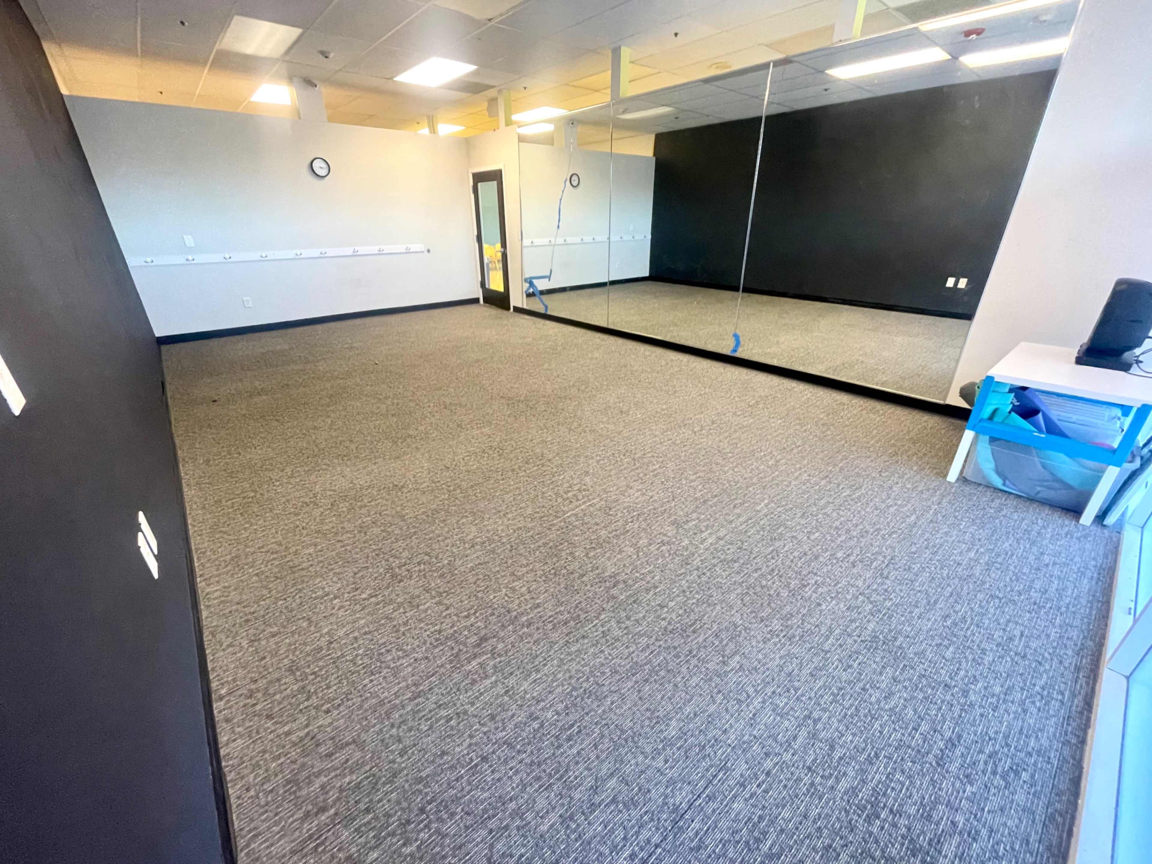 A sparsely furnished room with gray carpeting, a large mirror on one wall, and minimal decorations.