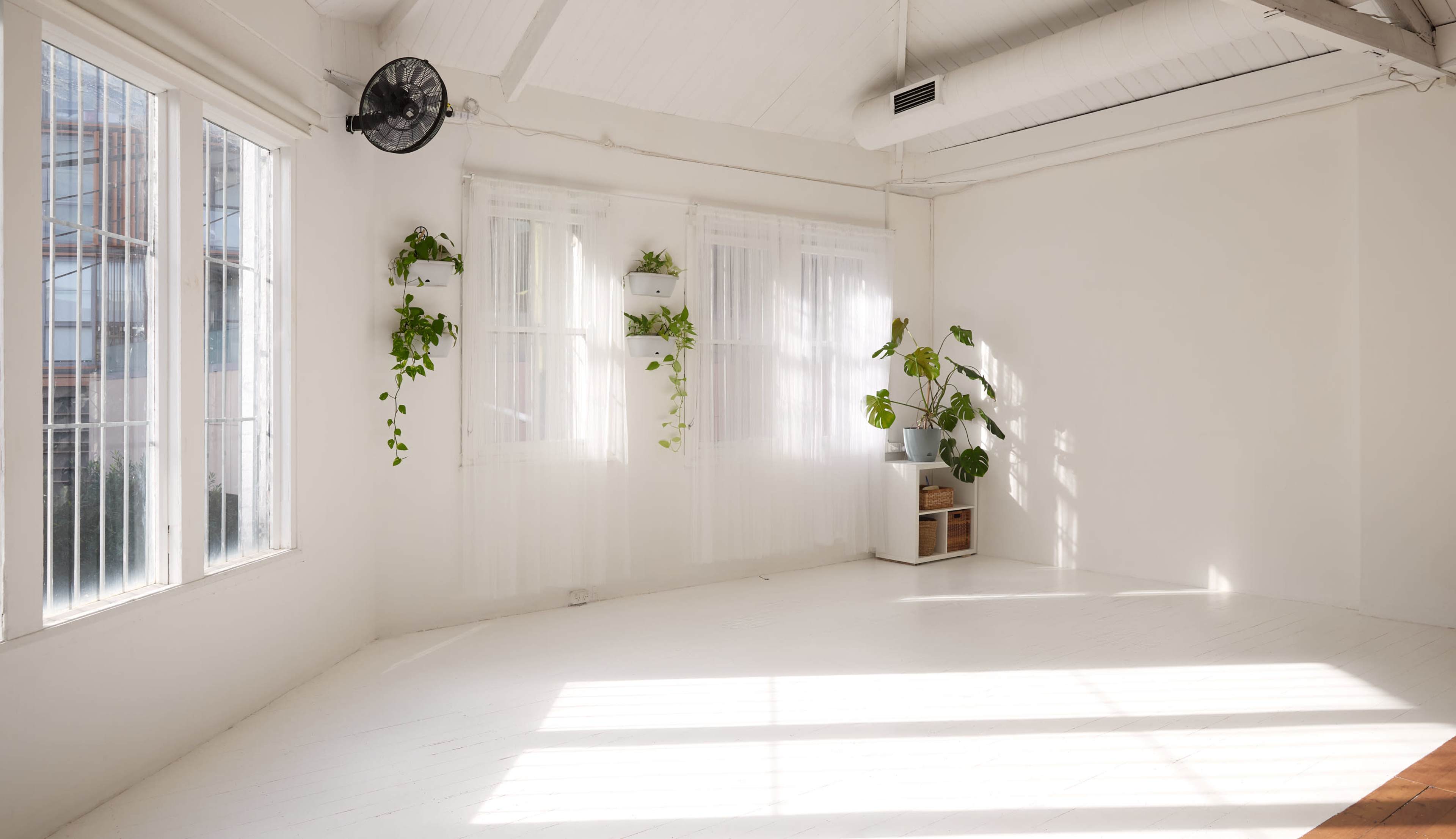 Beautifully Converted Warehouse Studio Filled With Soft, Natural Light All Day Long Image in Chippendale, Chippendale, NSW