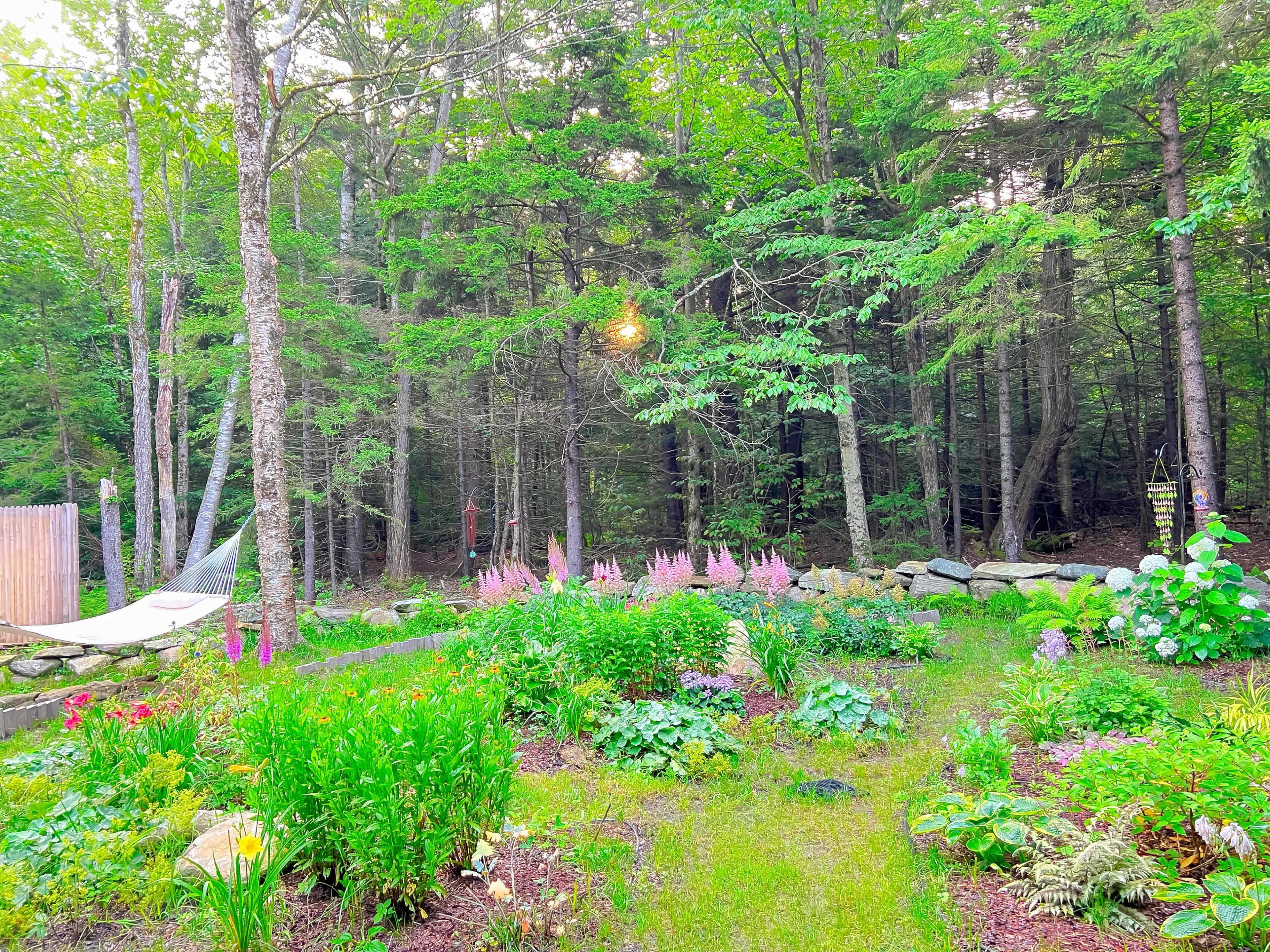 A garden with various flowering plants in the foreground, a hammock set among trees, and a wooded area in the background.