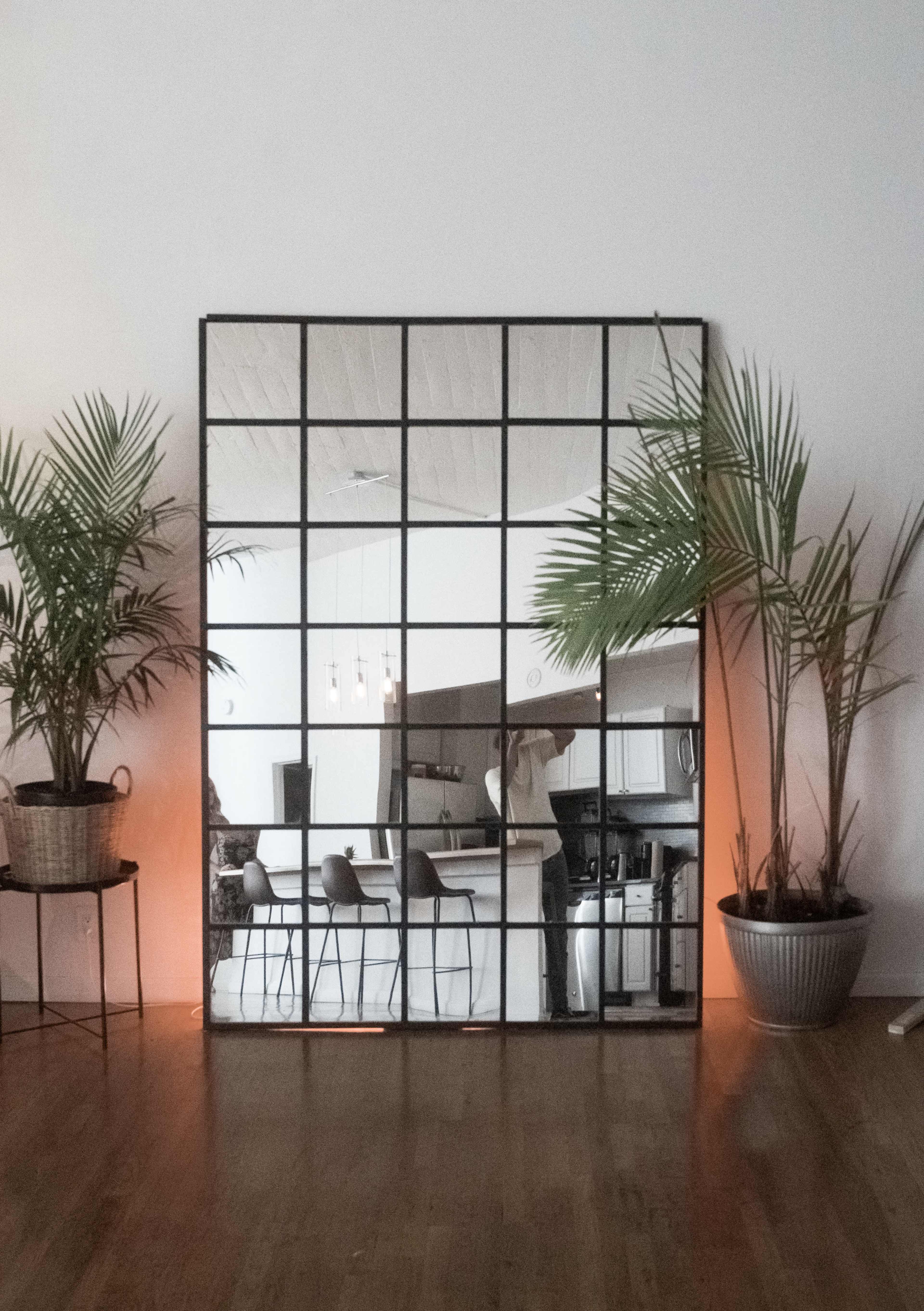 A large grid-style mirror reflects a kitchen area, framed by two potted palm plants on either side.