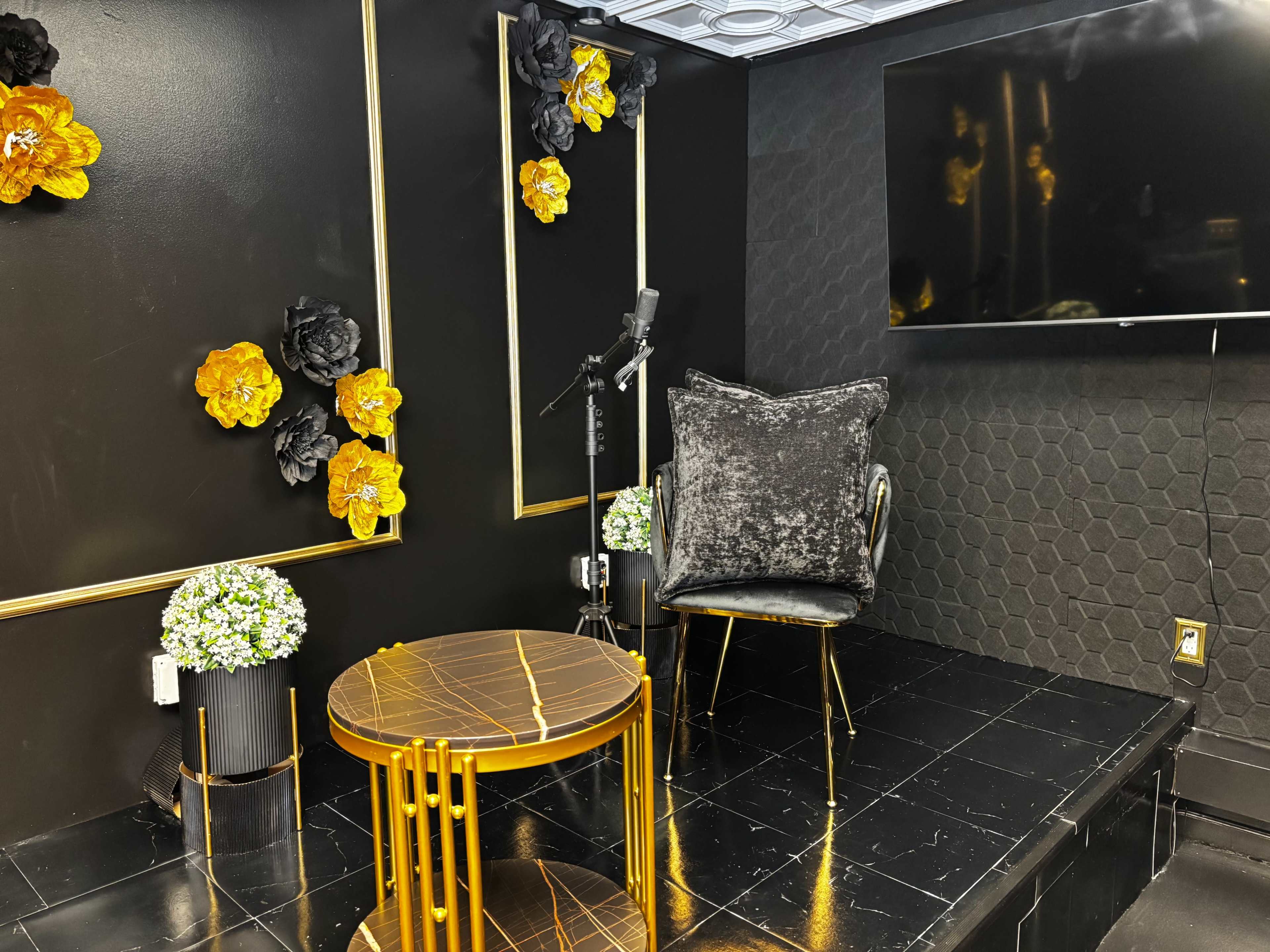 Luxury Podcast Room Image in Broad Ripple, Indianapolis, IN