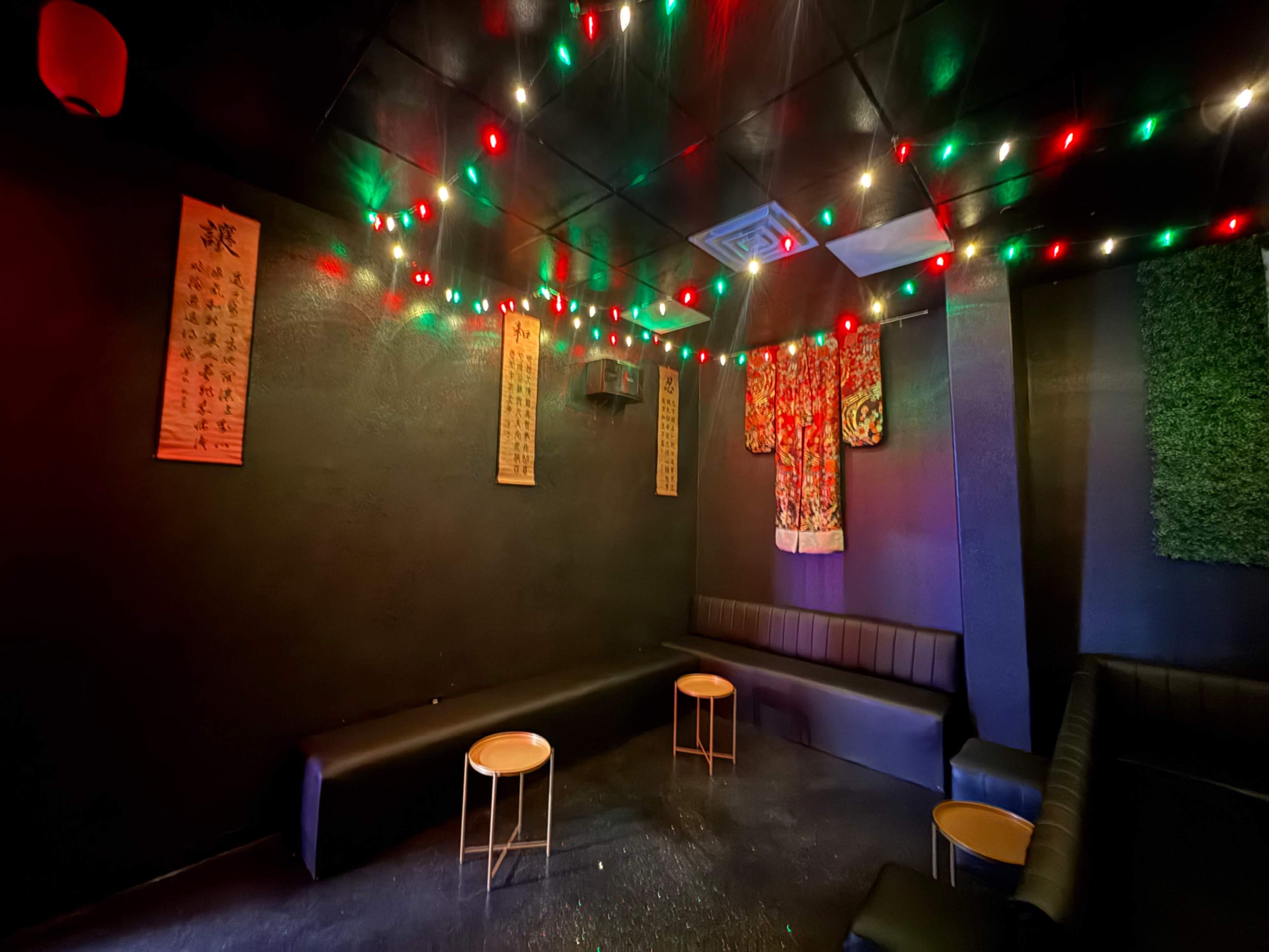 Themed private room for karaoke or events Image in Pearland, Pearland, TX