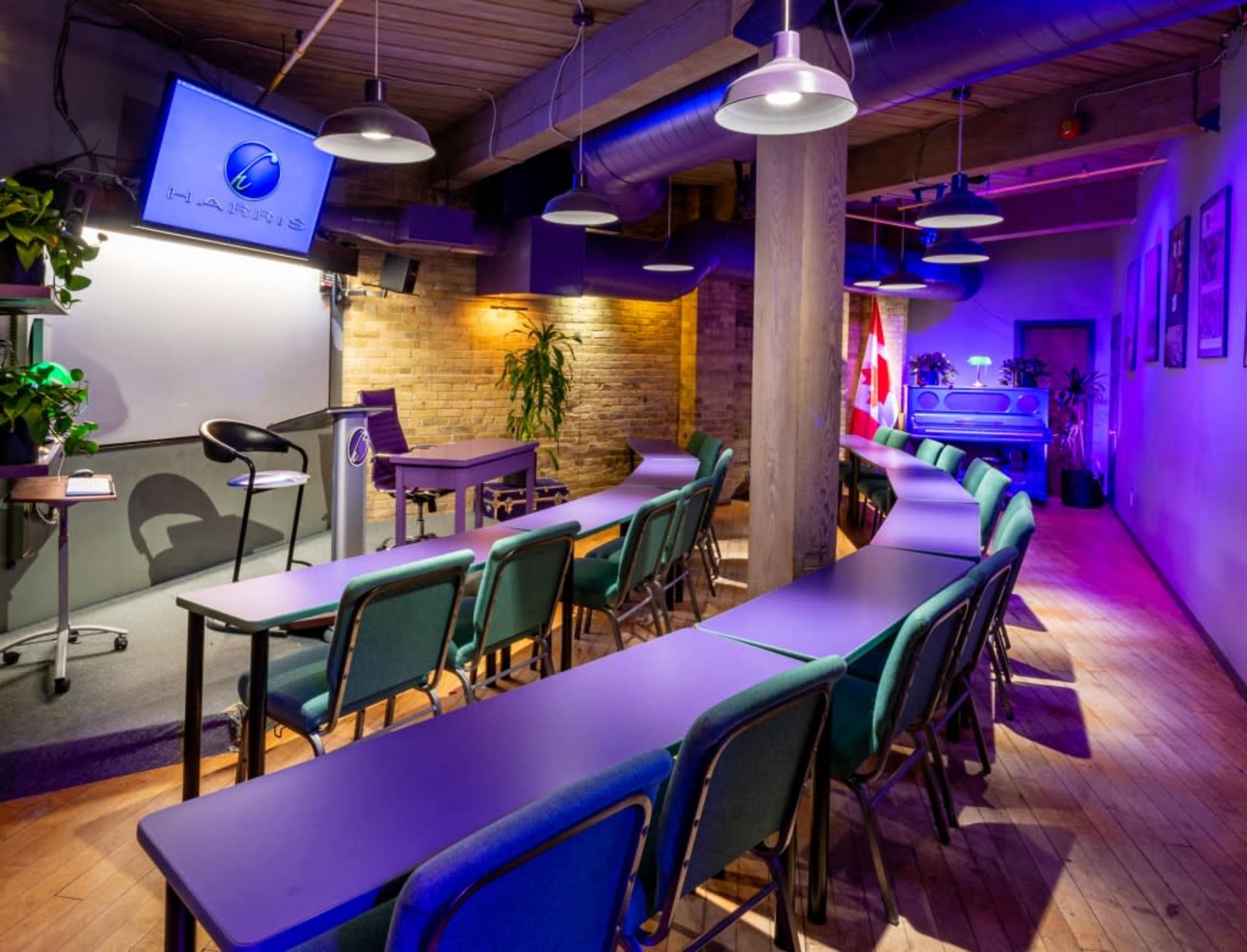 A seminar room with rows of purple tables and chairs, a projector screen, and plants, illuminated by purple and blue lighting.