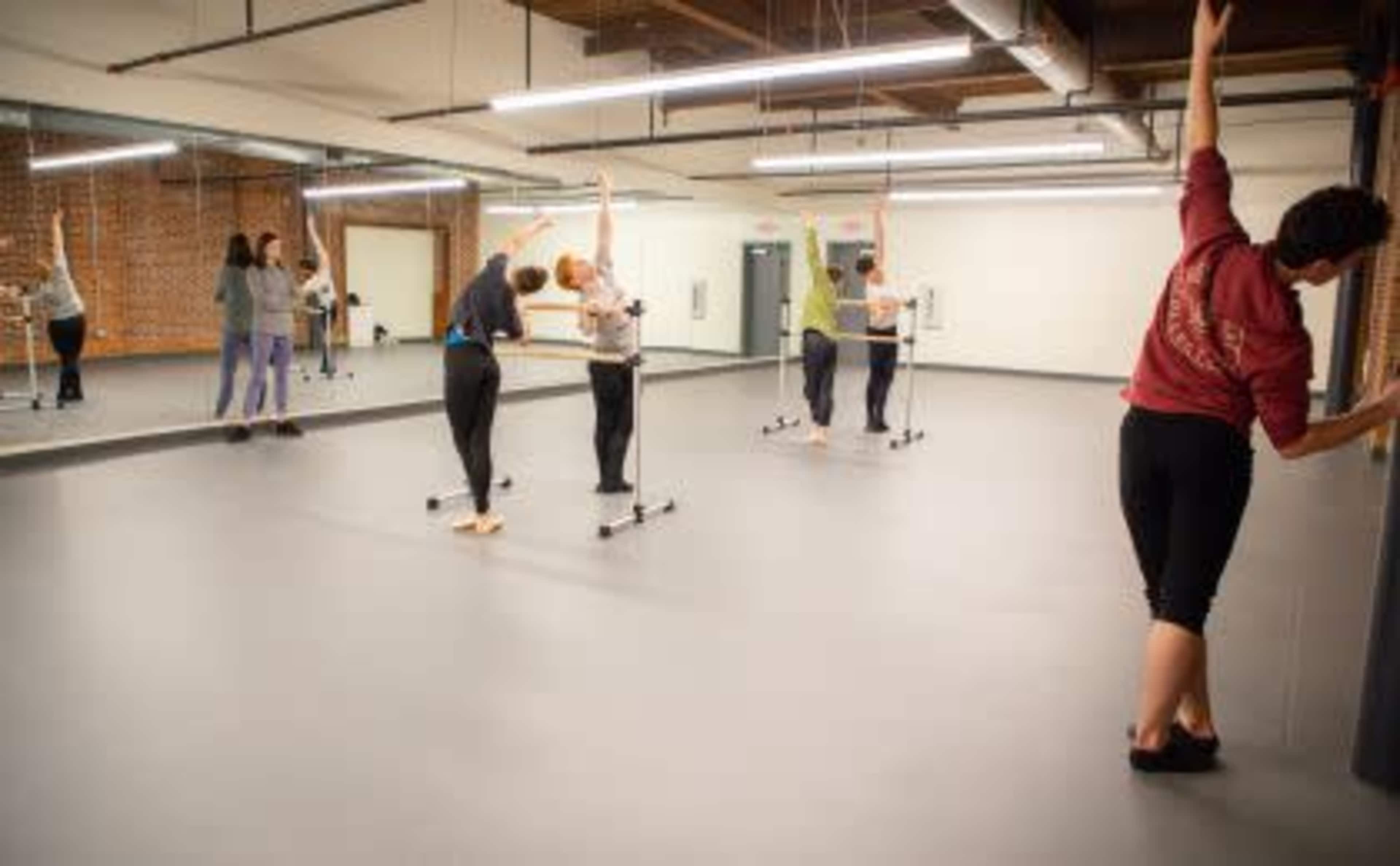 A group of individuals in a dance studio practice ballet at a mirrored wall and utilize ballet barres for support.
