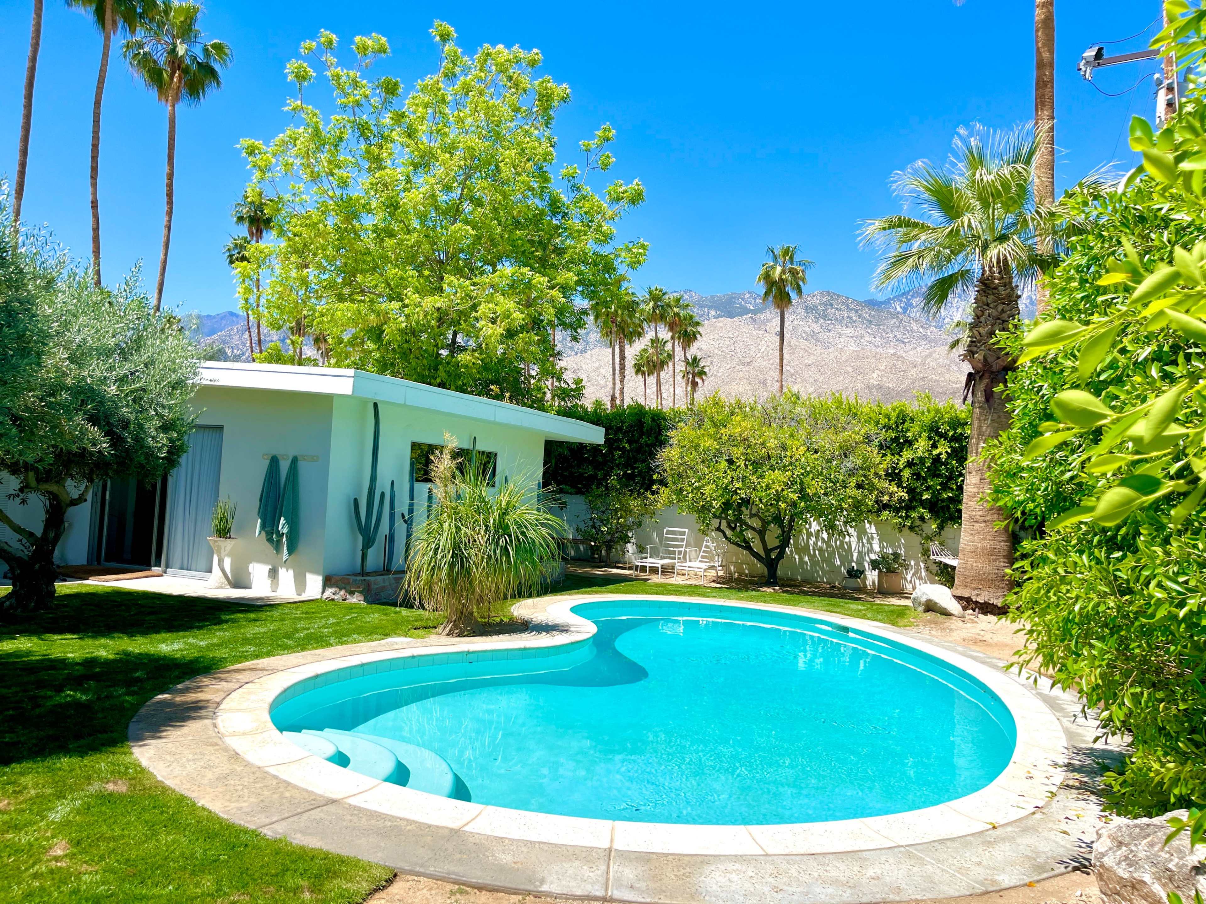 A curved swimming pool surrounded by lush greenery, palm trees, and a white modern building set against a mountainous backdrop.