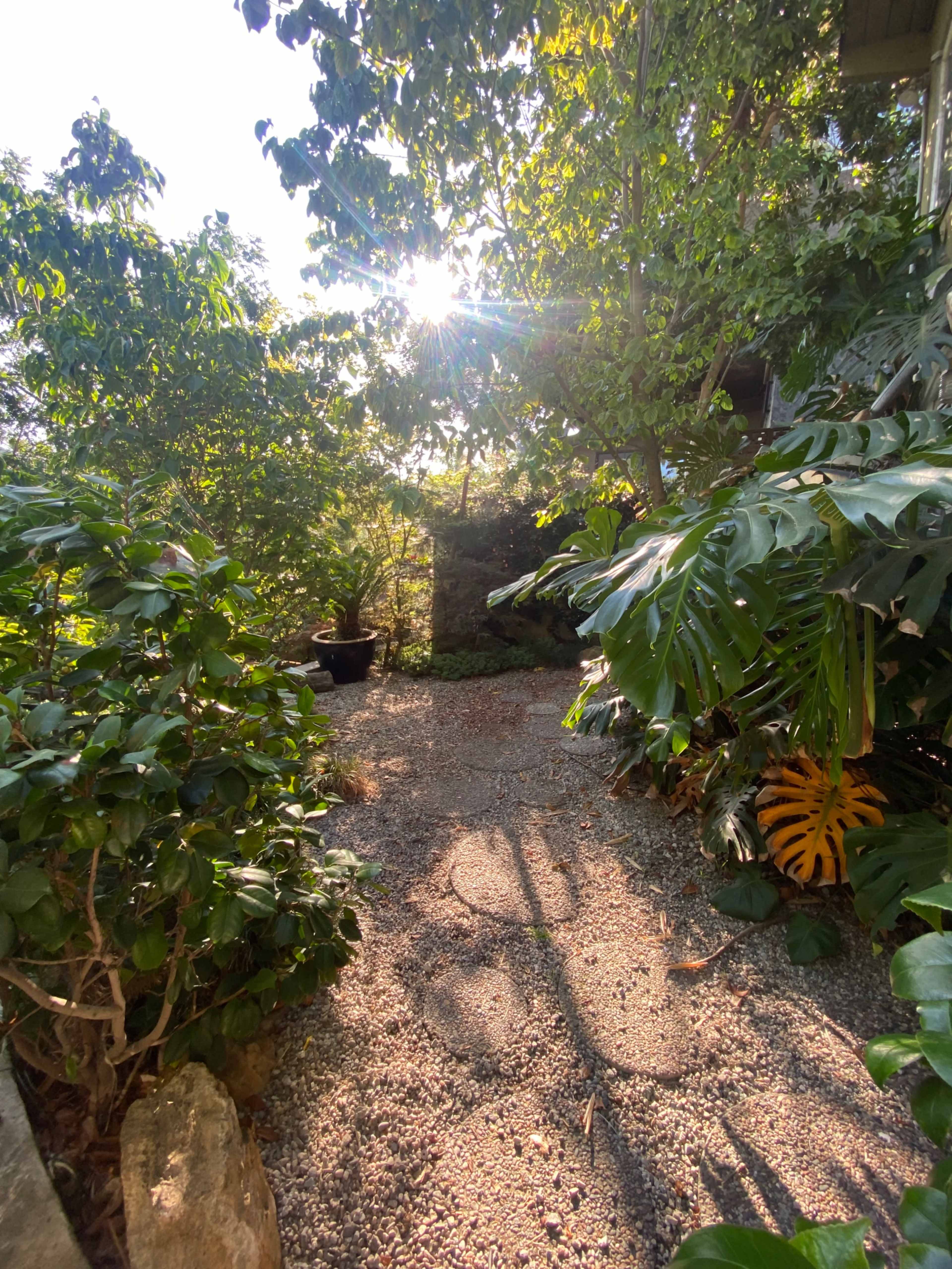 A narrow gravel path winds through lush green foliage, with sunlight filtering through the trees at the end of the path.