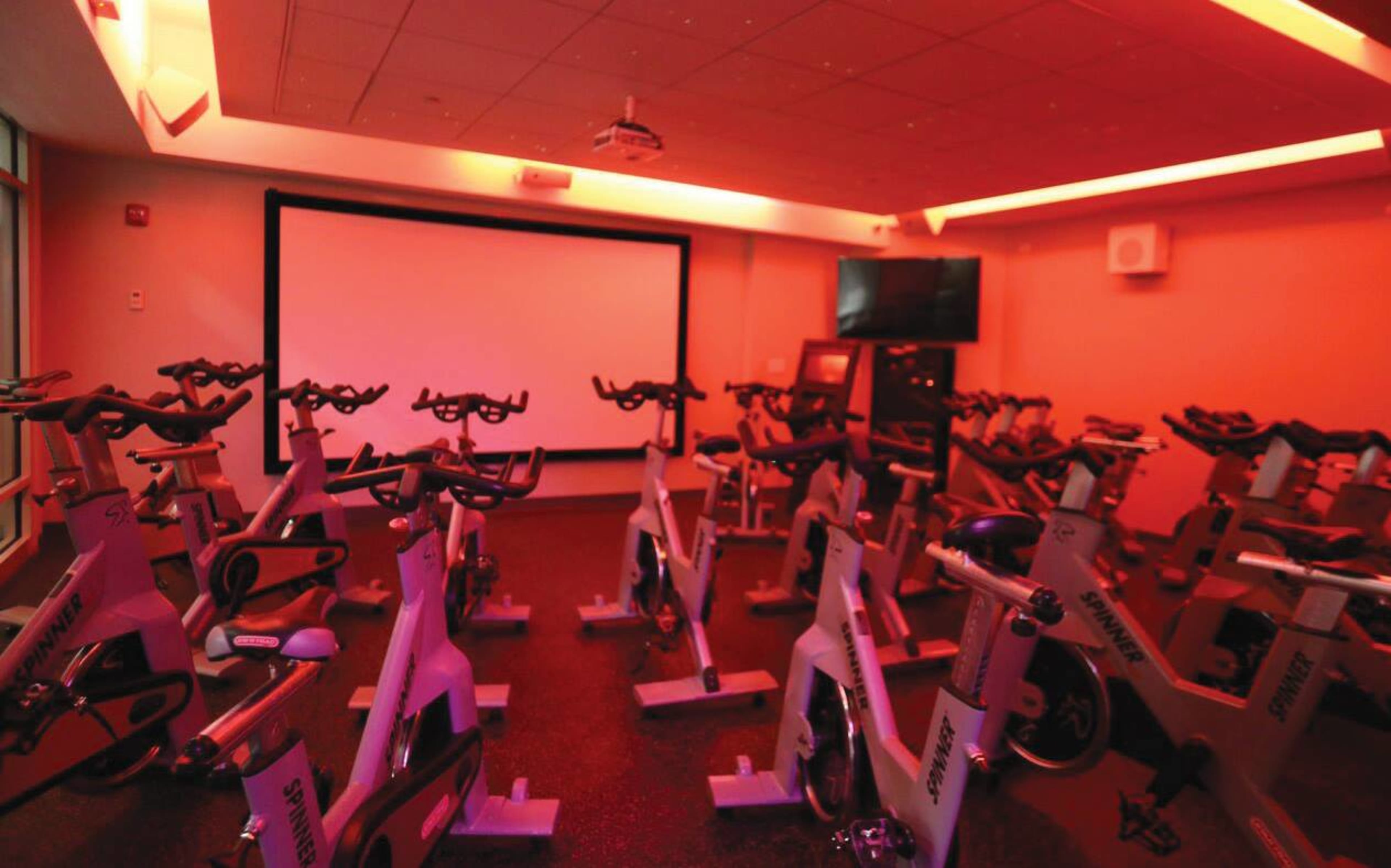 A dimly lit indoor cycling studio filled with stationary bikes arranged in rows facing a large screen.