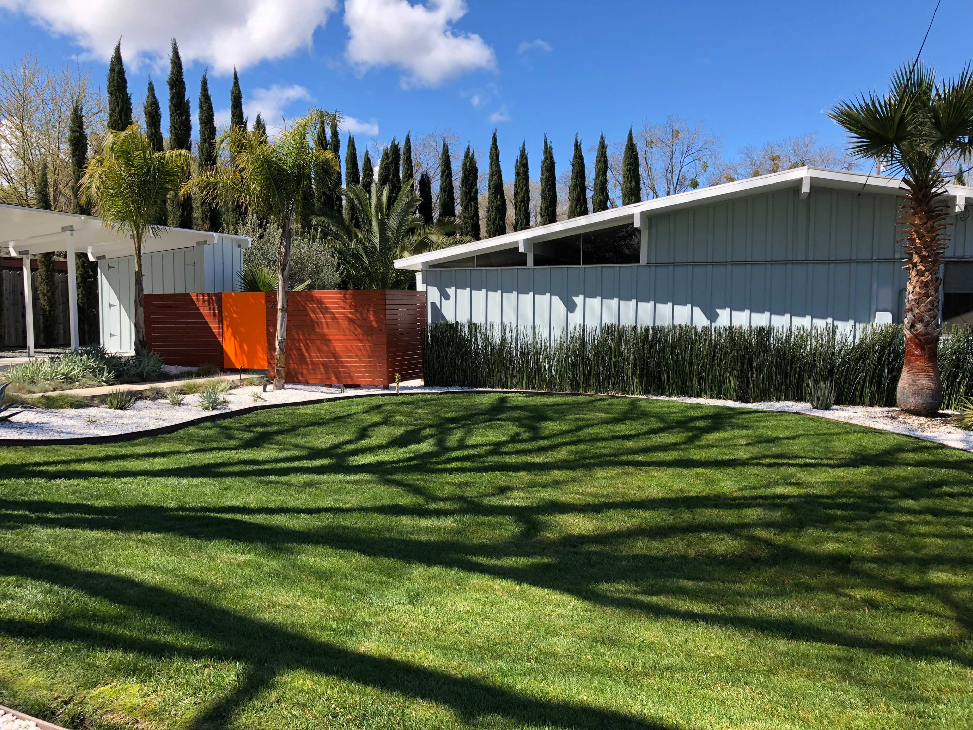 The image shows a landscaped yard with green grass, a wooden fence, and several palm trees under a clear blue sky.