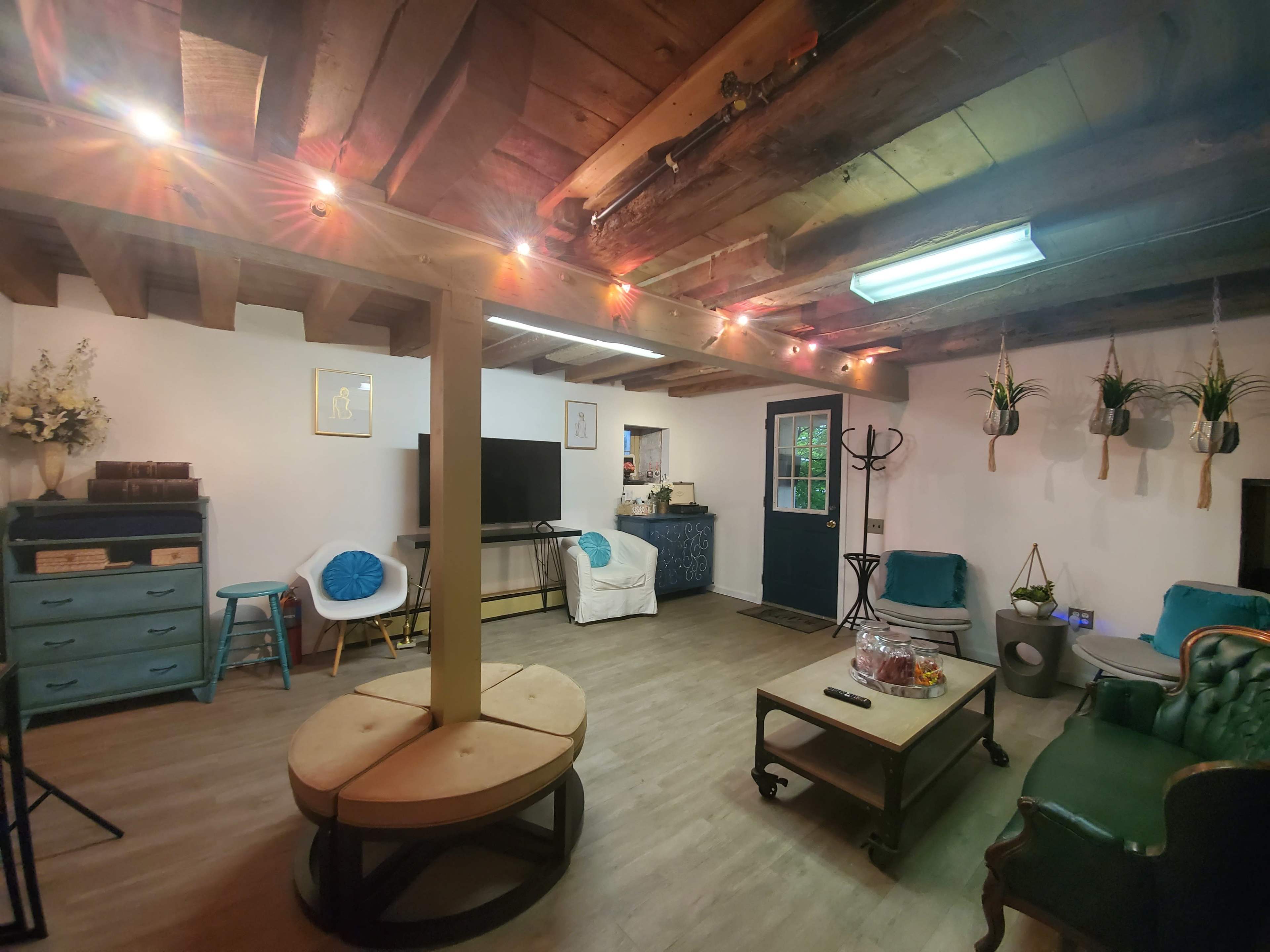 The room features a wooden ceiling with exposed beams, a television on a cabinet, a circular seating area, a coffee table, and potted plants hanging on the walls.