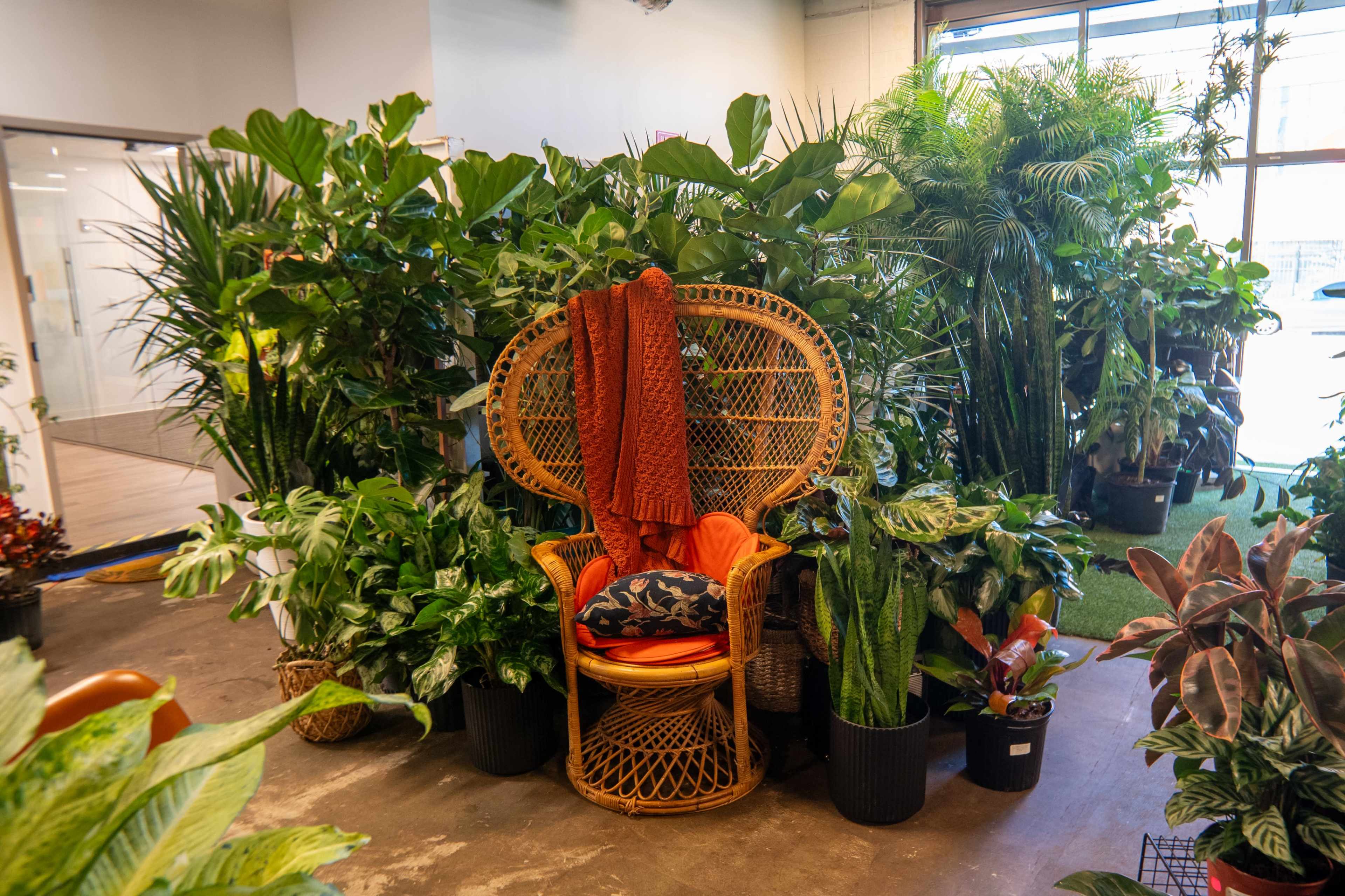 The image shows a large chair surrounded by various types of potted plants in a well-lit indoor space.