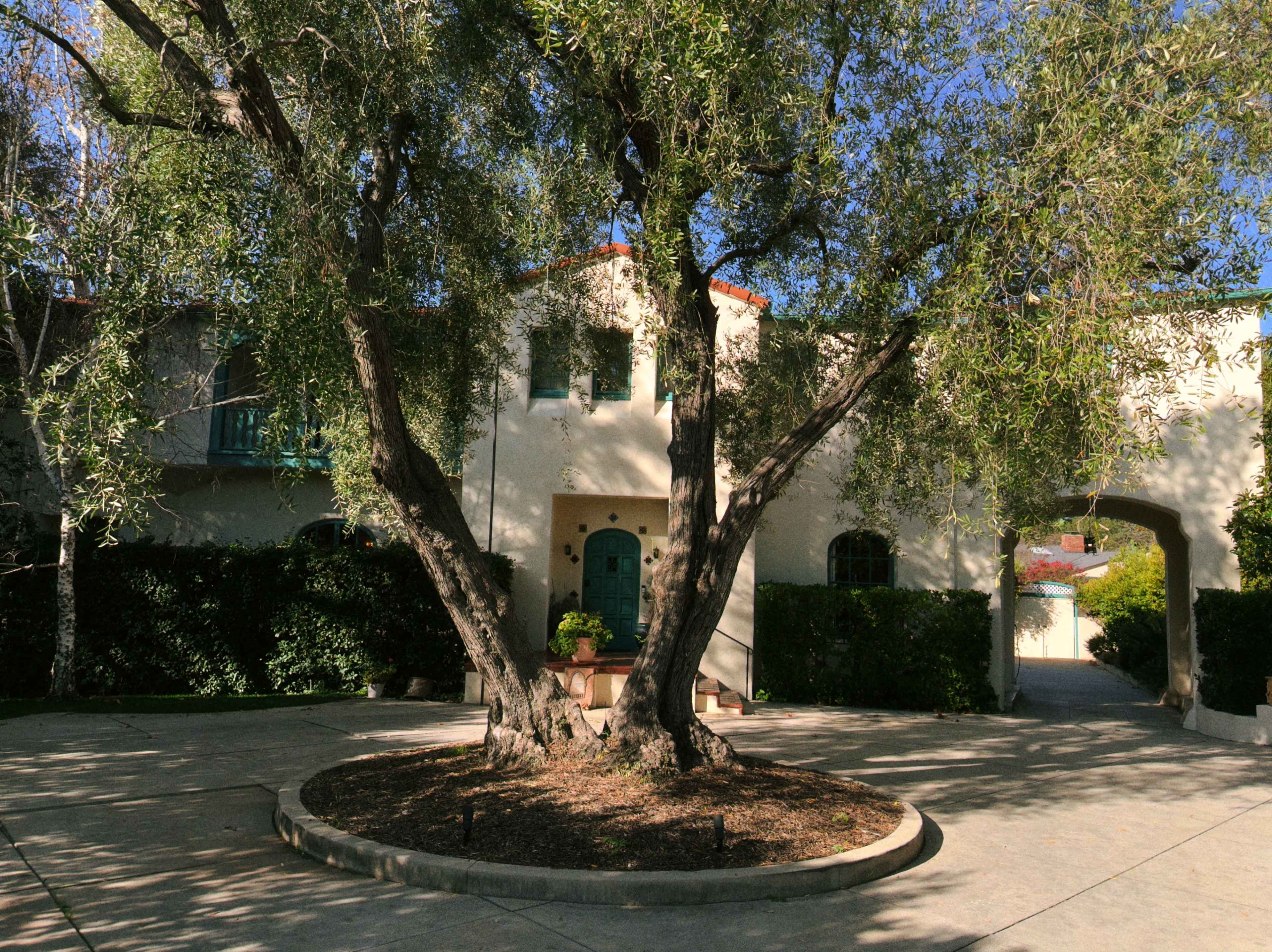 A large olive tree stands at the center of a circular driveway in front of a two-story house with a green door.