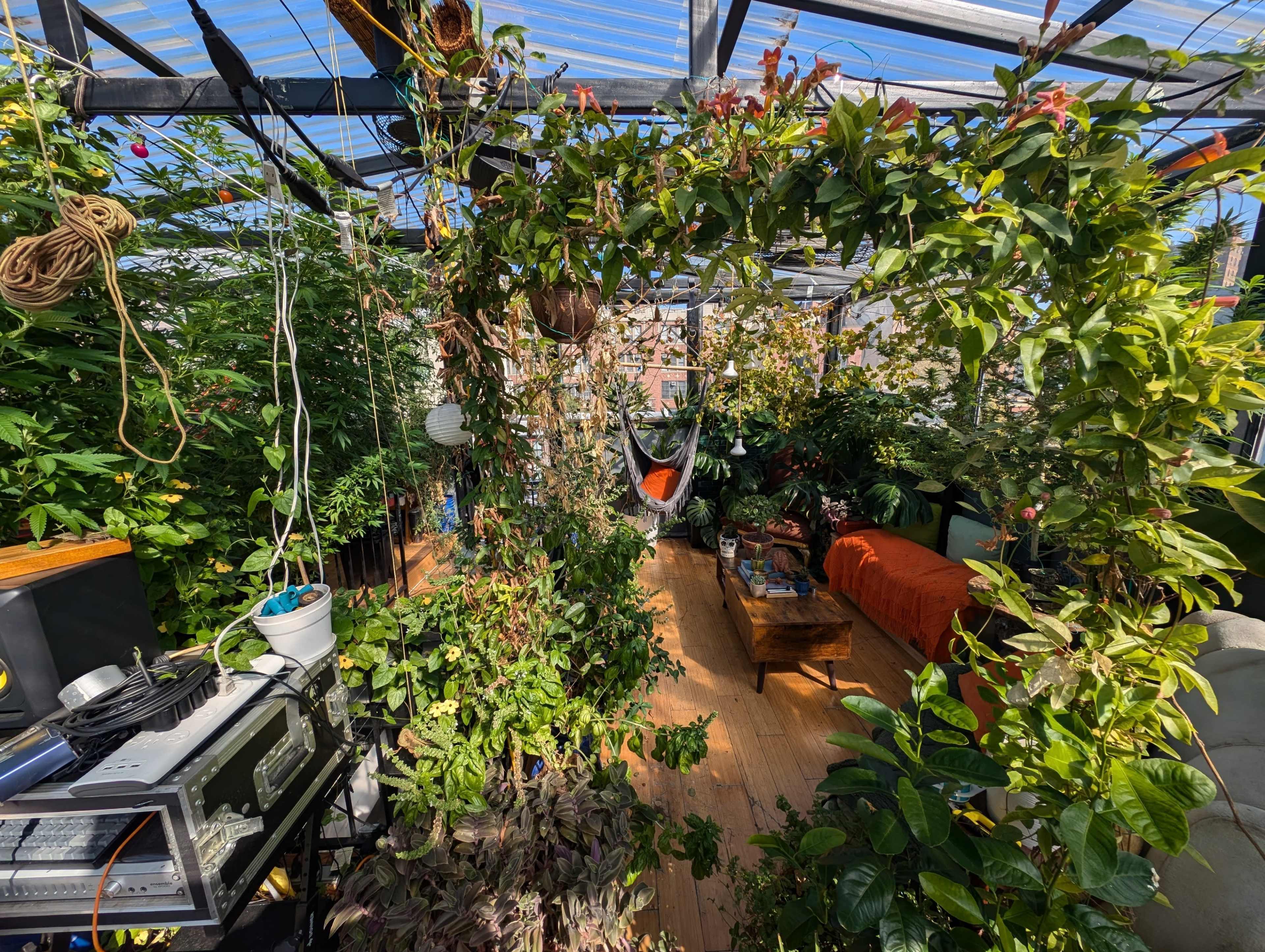 Plant Filled Rooftop Greenhouse with Hufflepuff Vibe and Church View Image in East Harlem, NEW YORK, NY