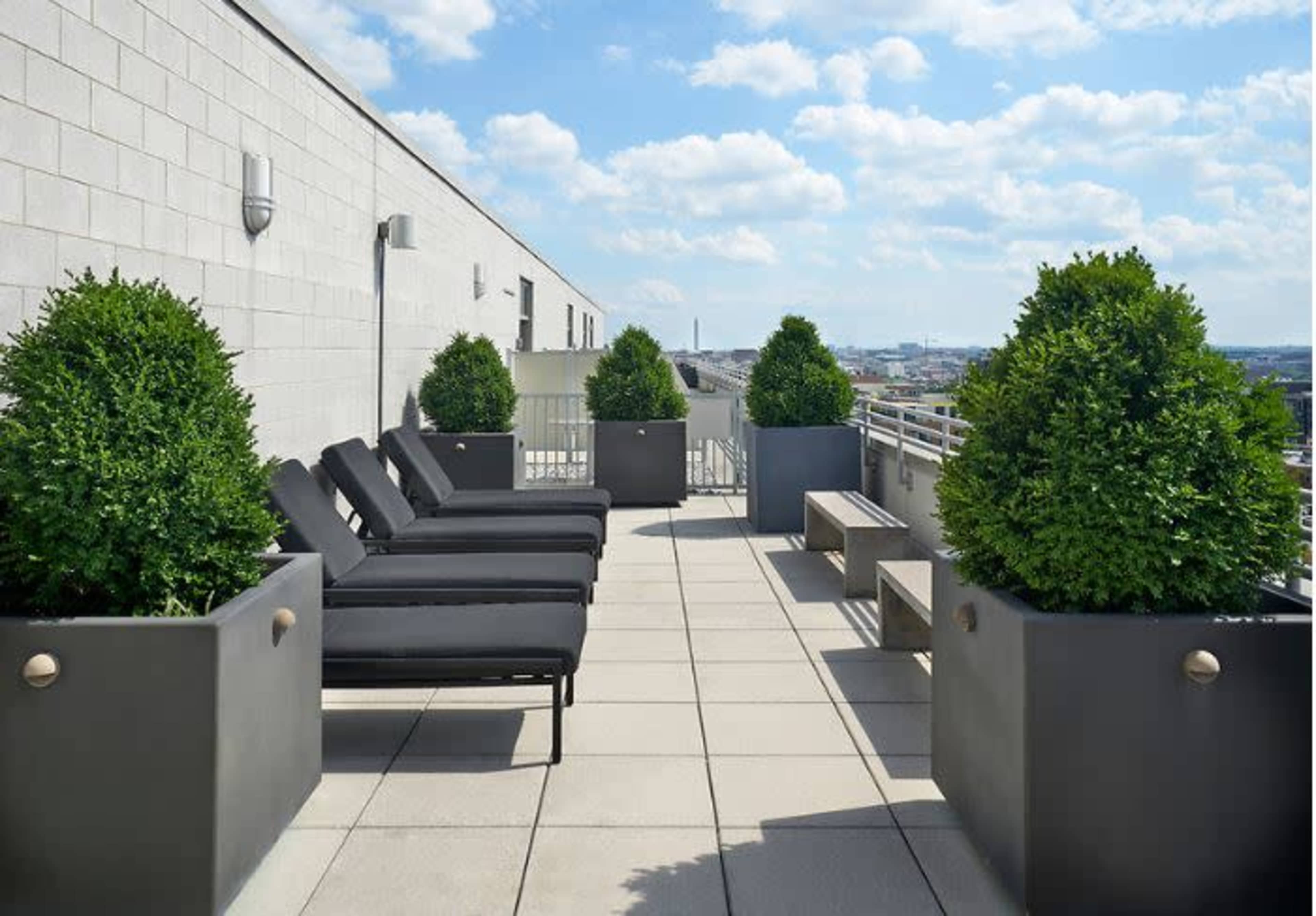 A rooftop terrace features several lounge chairs and large potted plants against a backdrop of a cloudy sky.