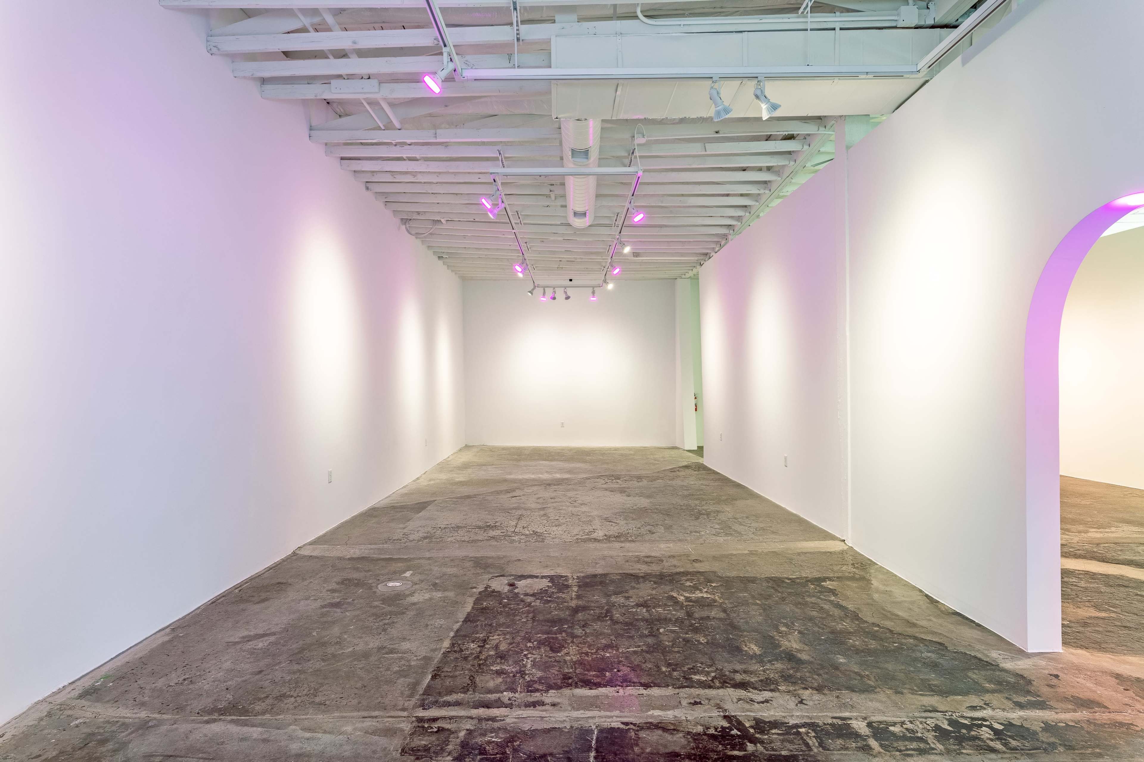 A spacious art gallery with white walls, exposed beams, and a concrete floor, illuminated by pink lighting.