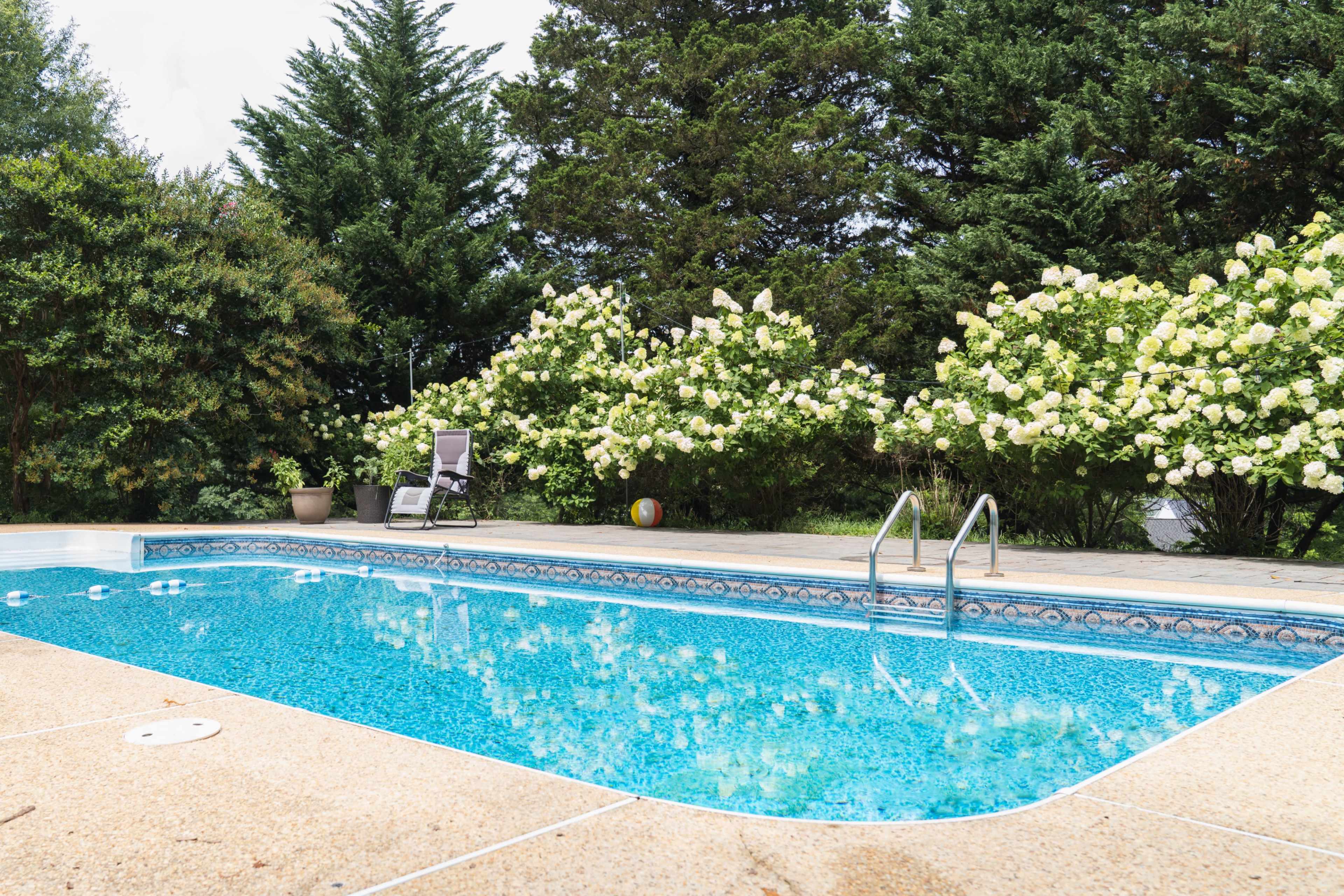 A swimming pool with blue water is surrounded by green shrubbery and flowering plants, featuring a lounge chair nearby.
