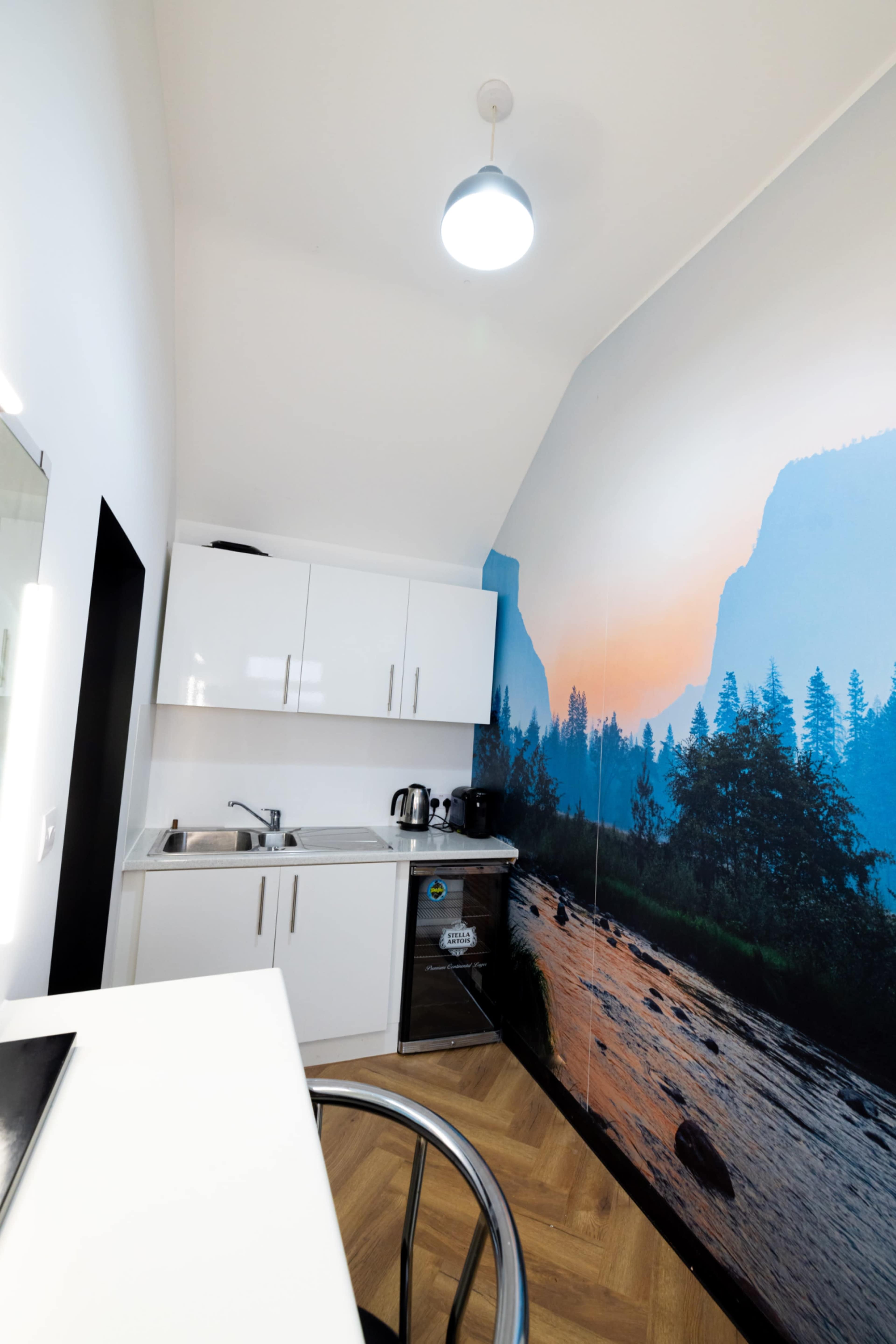 A compact kitchen features white cabinetry, stainless steel appliances, and a scenic wall mural of mountains and forests at sunset.