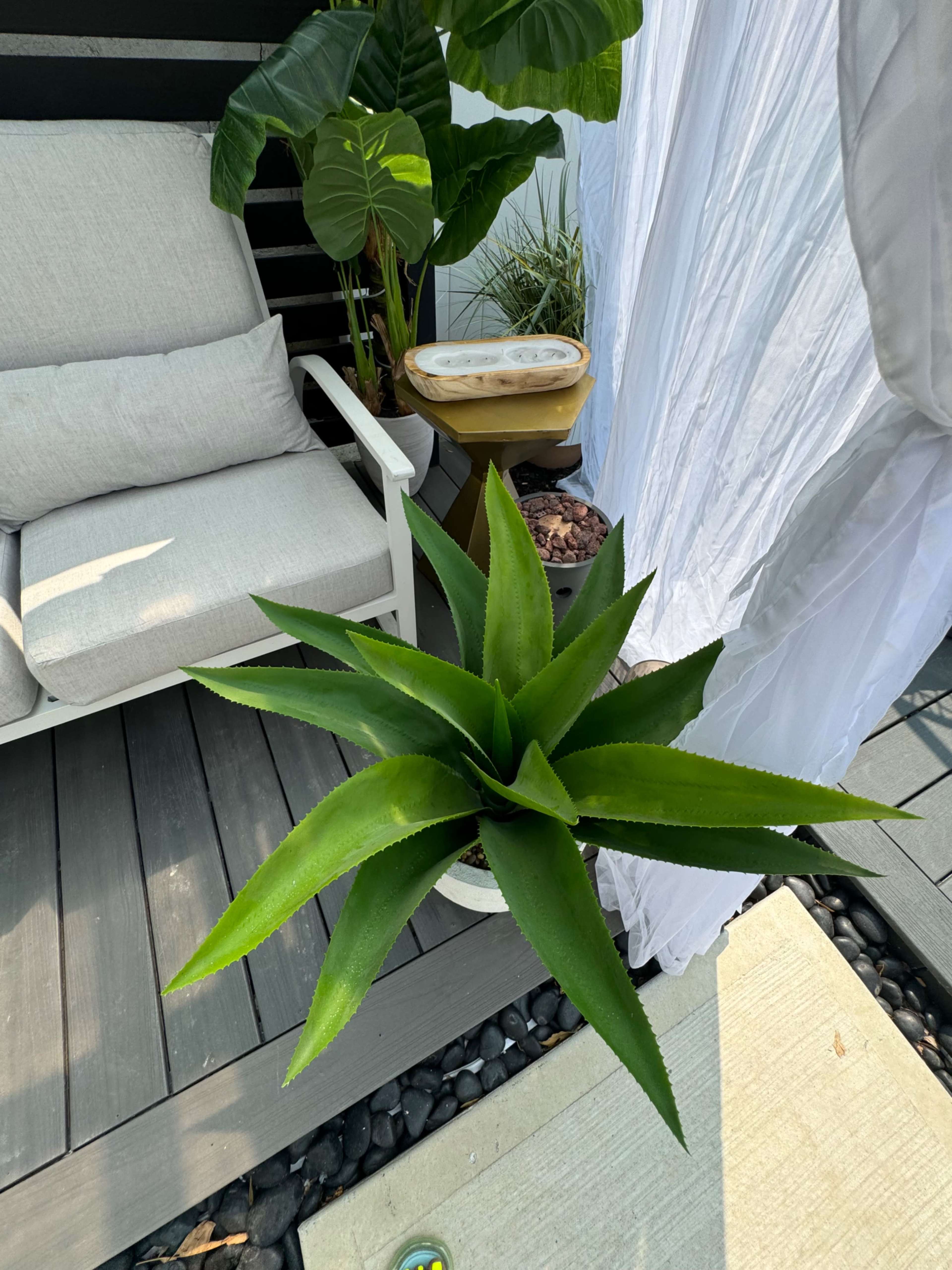 A potted succulent plant with long, sharp leaves sits on a wooden deck next to a chair and a decorative piece.