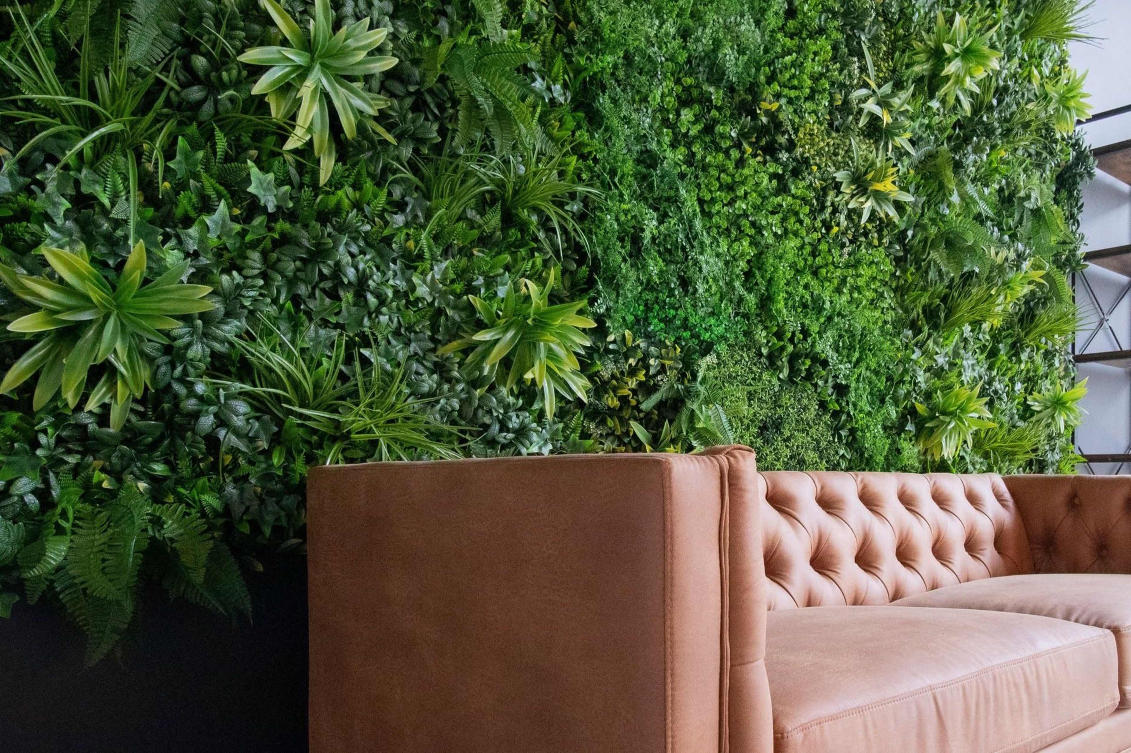 A brown tufted sofa positioned in front of a lush green wall filled with various types of plants.