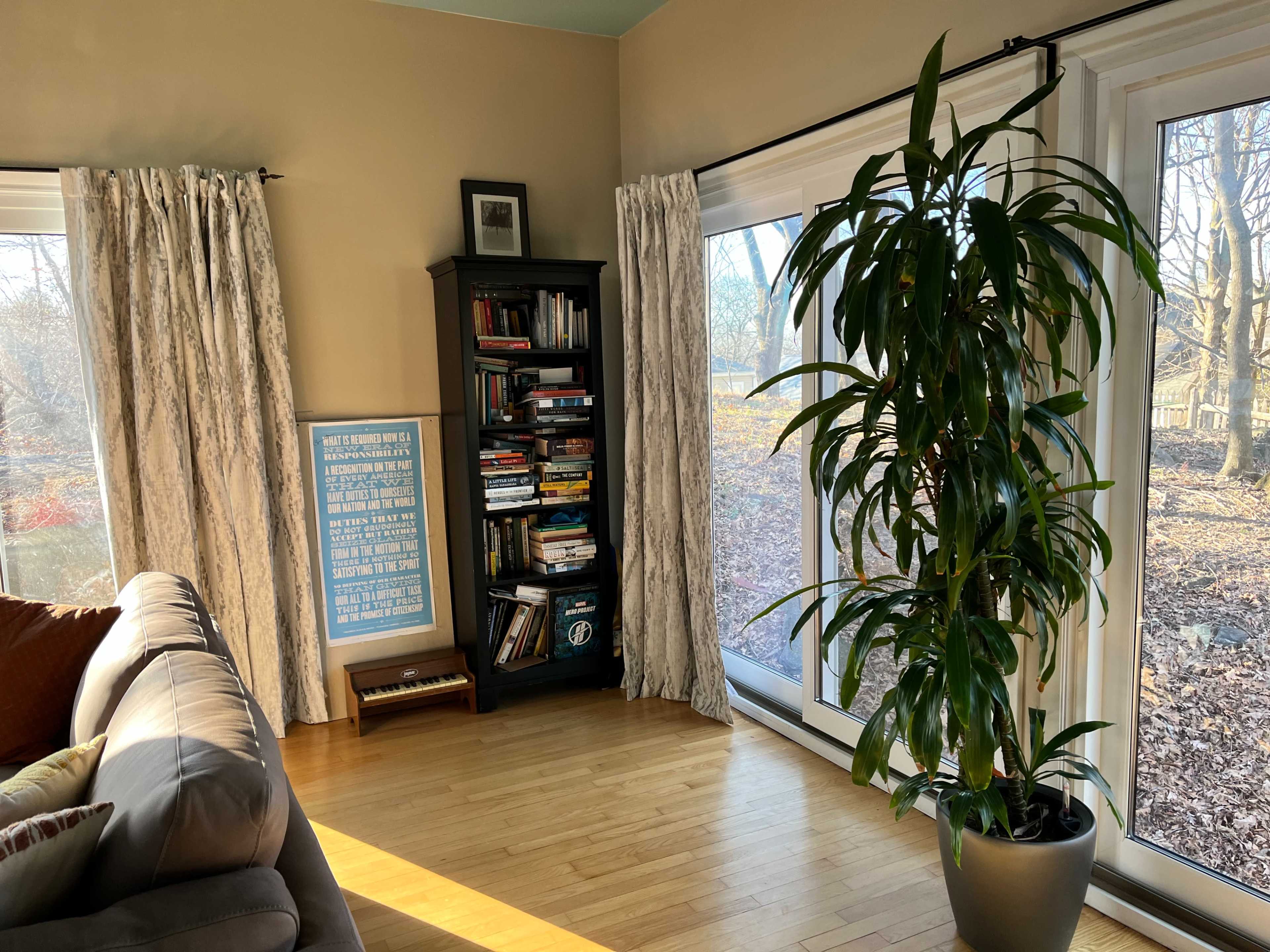 A living room corner features a large bookshelf filled with books, a tall indoor plant in a pot, and large windows allowing sunlight to illuminate the space.