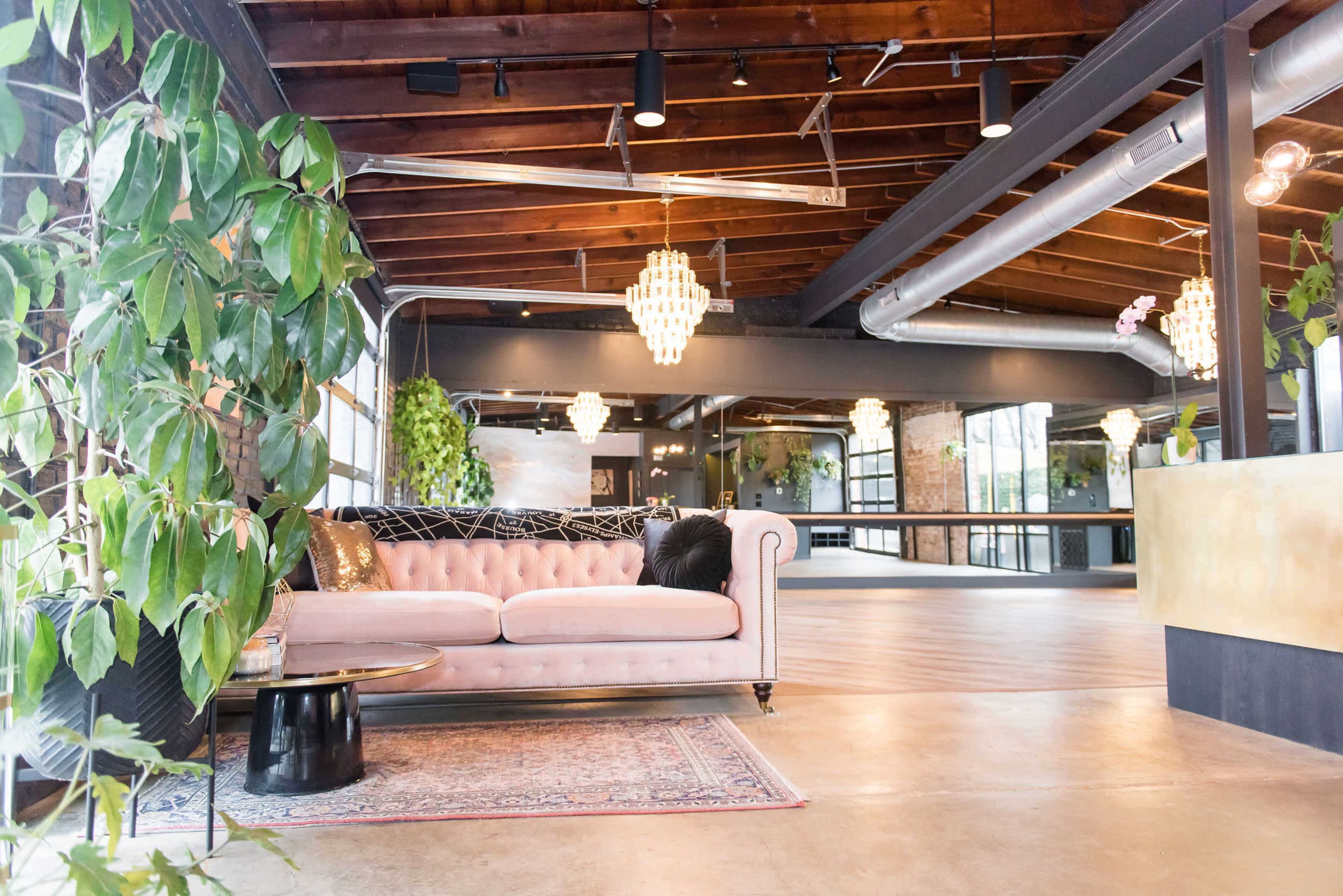Natural Light Filled Glamorous Studio in Scott's Addition Image in Scott's Addition Historic District, RICHMOND, VA