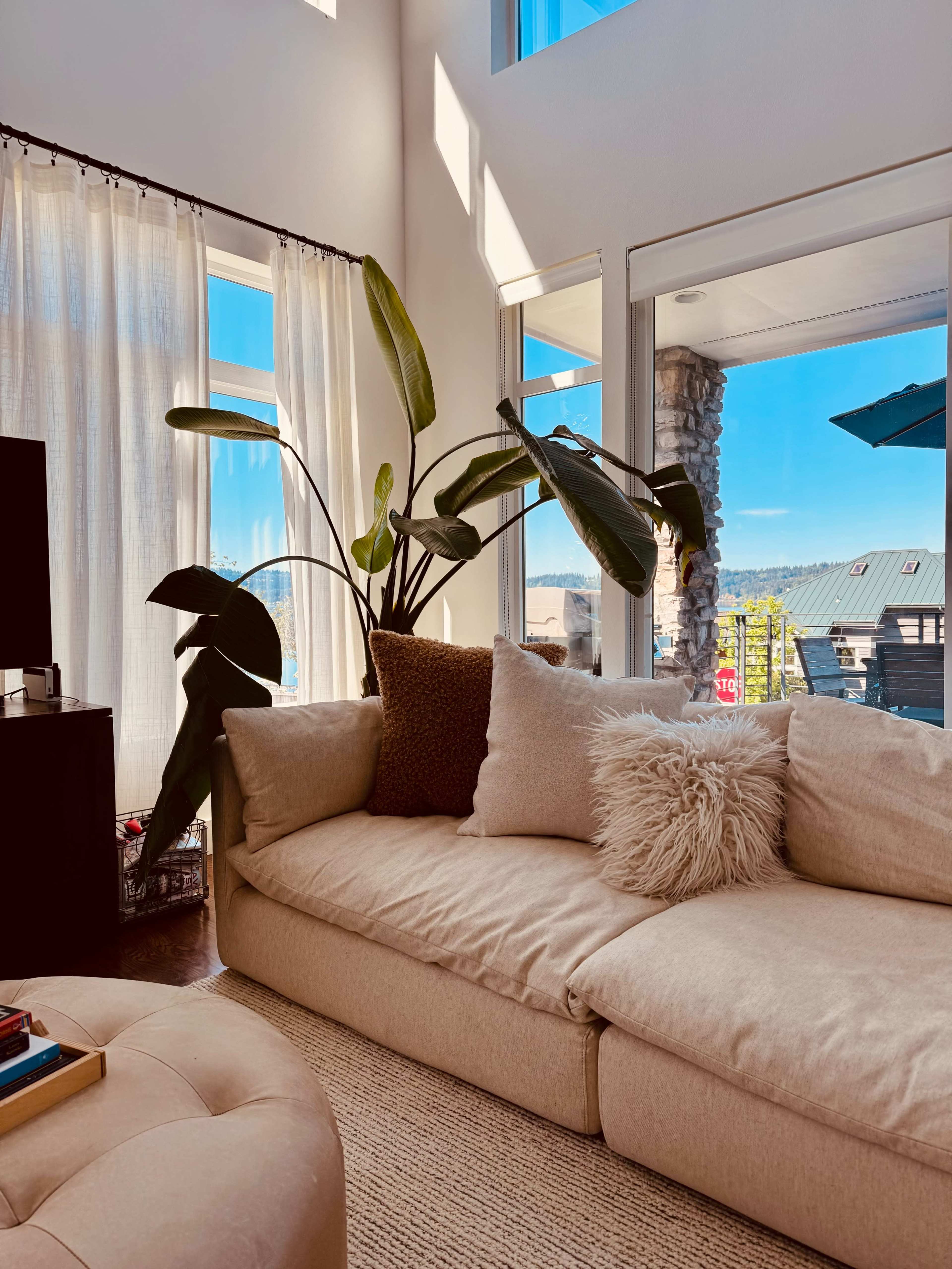 A light-filled living room features a beige sectional sofa adorned with decorative pillows and a large potted plant beside a window.