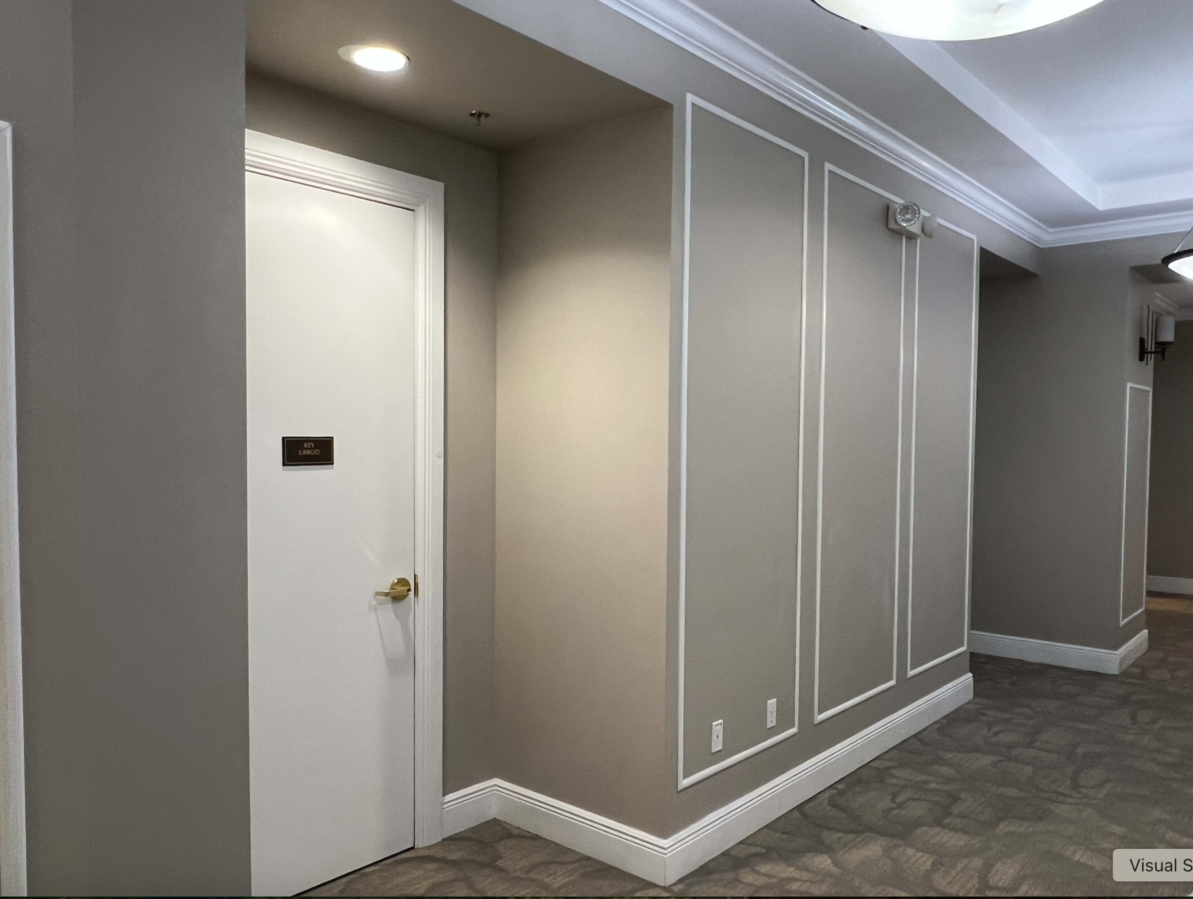 The image shows a hallway with a closed door on the left, framed by light-colored walls that have decorative paneling.