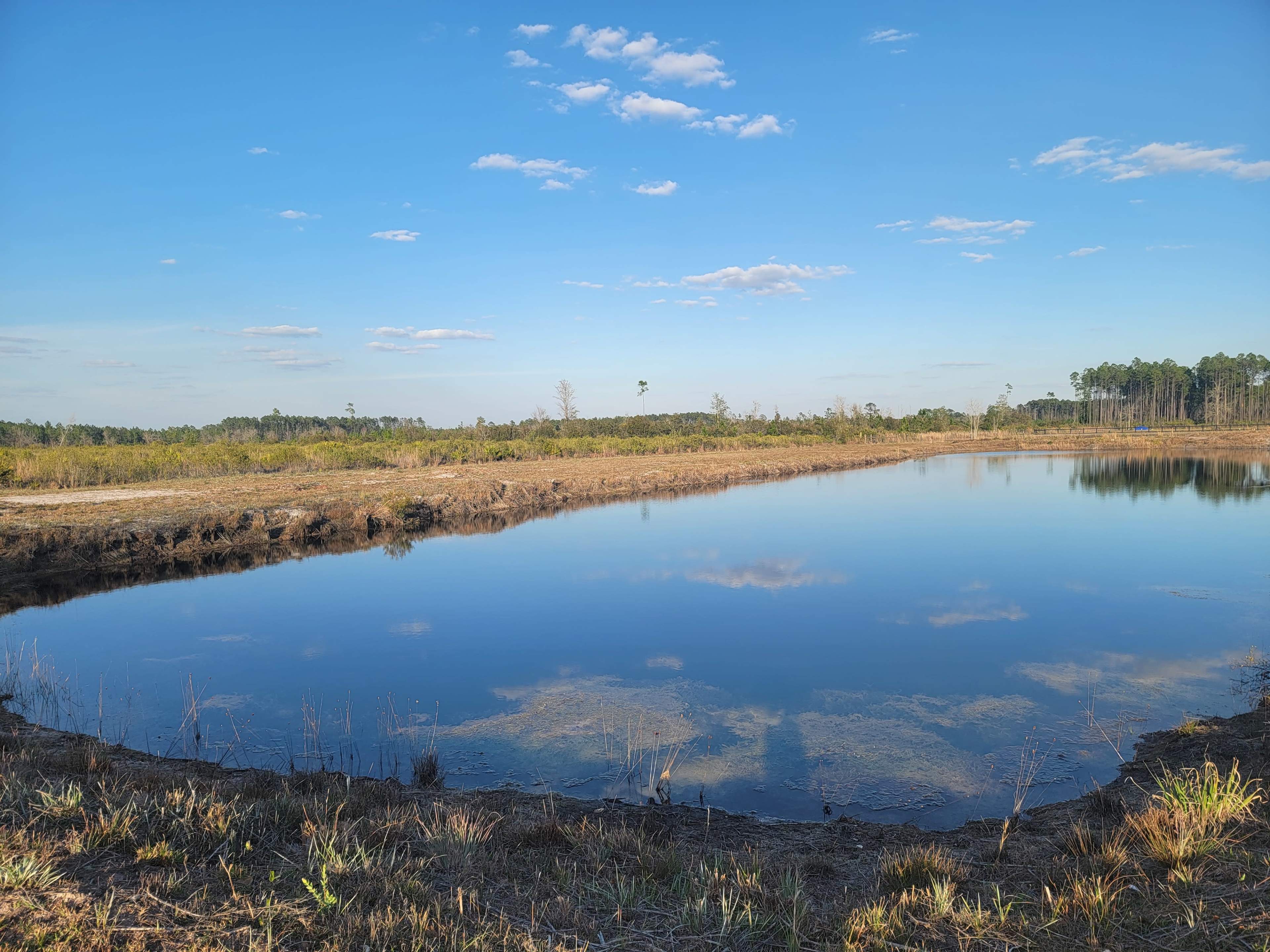 A calm body of water reflecting the blue sky and surrounding landscape with sparse vegetation and trees in the background.