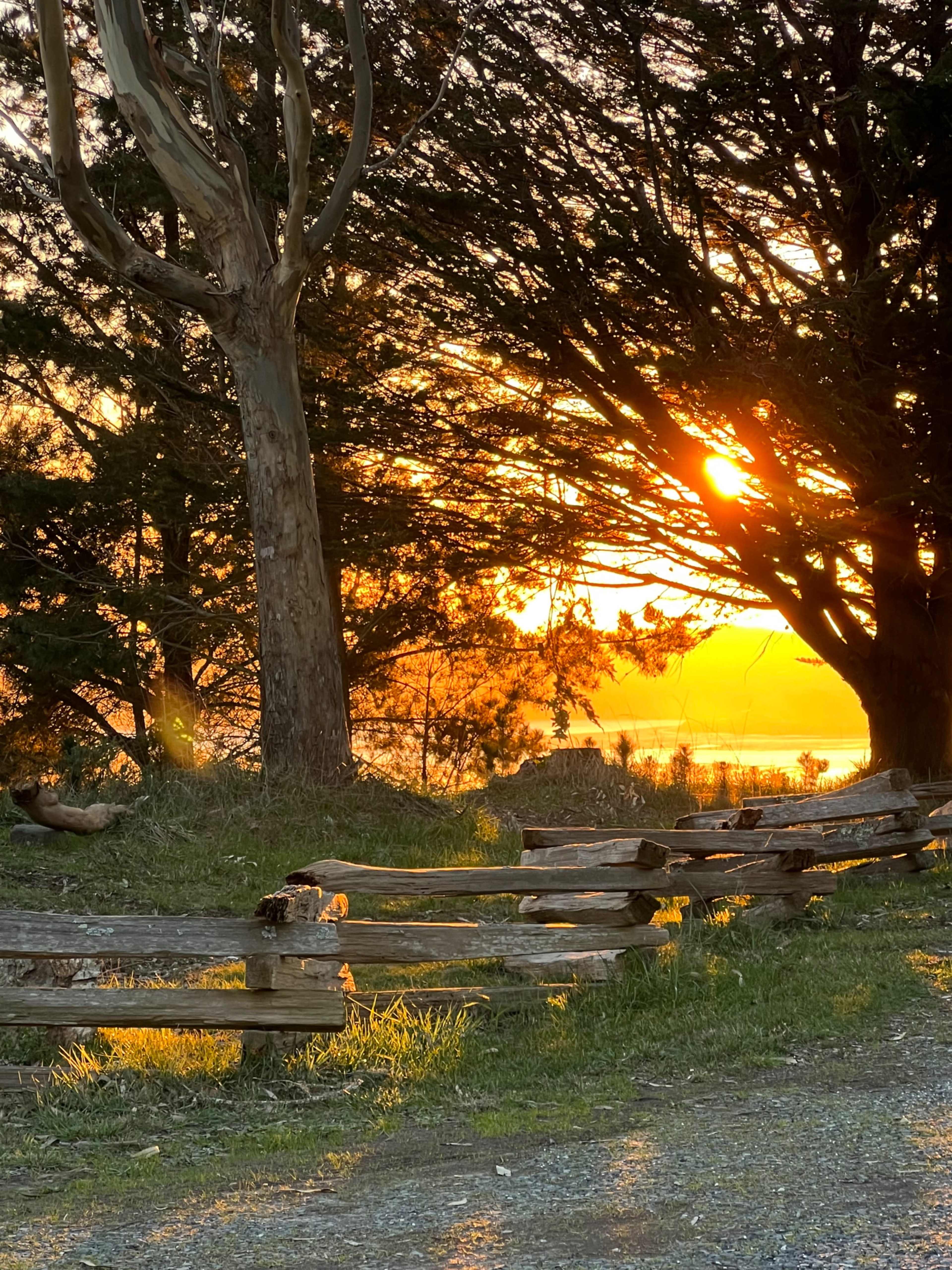A wooden fence lines a pathway illuminated by the setting sun, with trees casting shadows in the foreground.