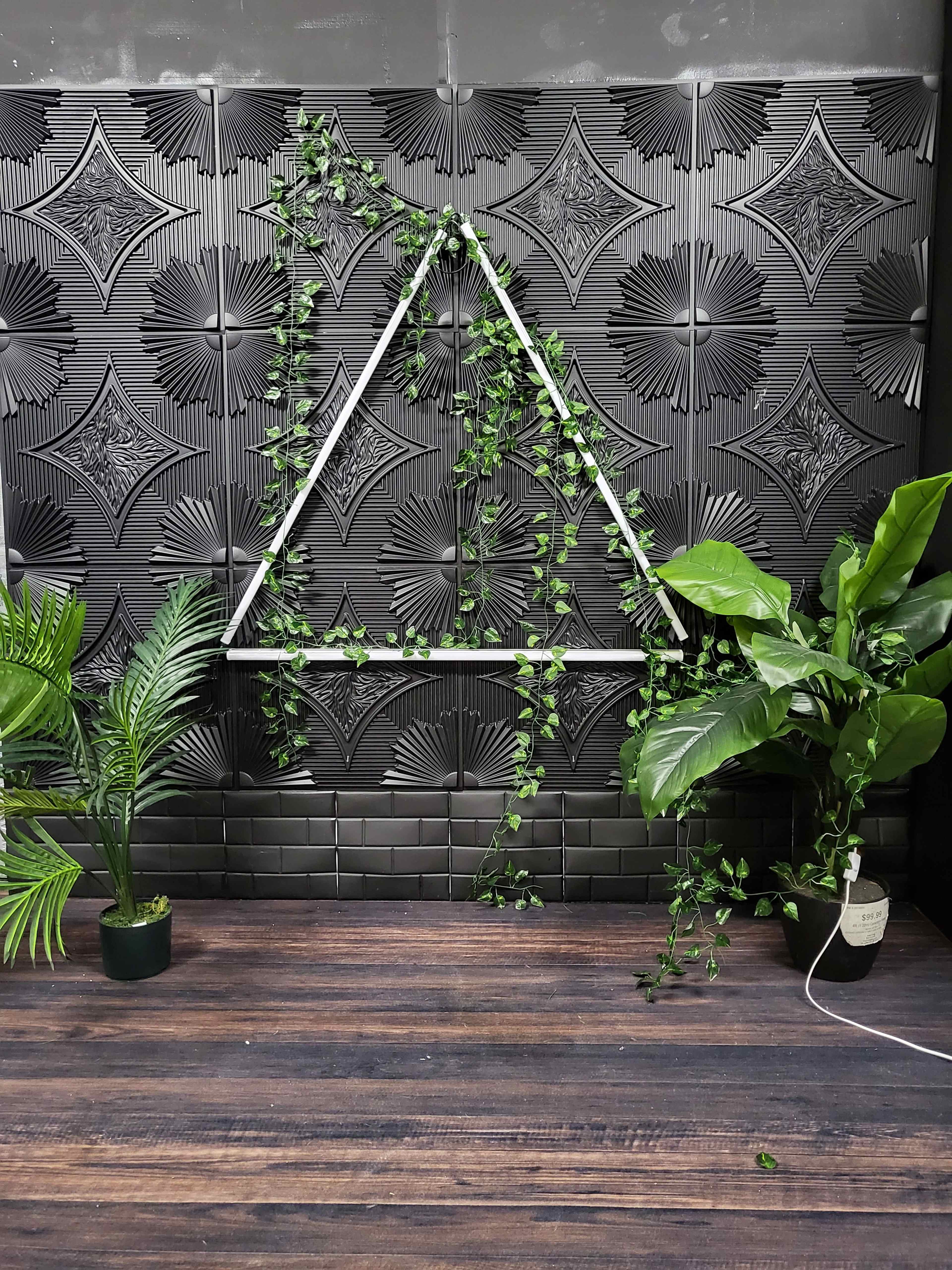 The image shows a black textured wall with a triangular frame adorned with greenery, positioned beside large potted plants on a wooden floor.