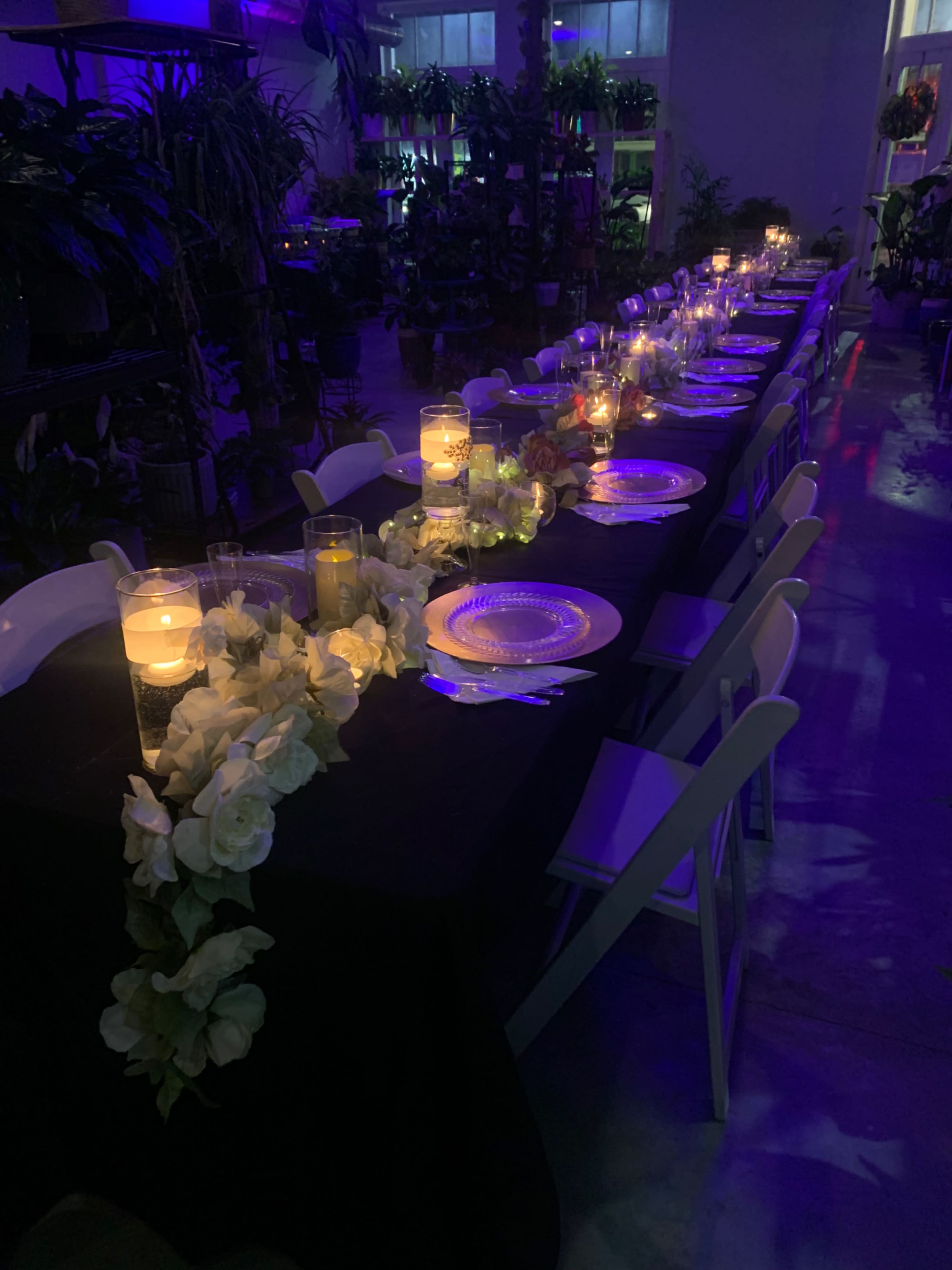 A long dining table is set with plates and candles, surrounded by plants under purple lighting.