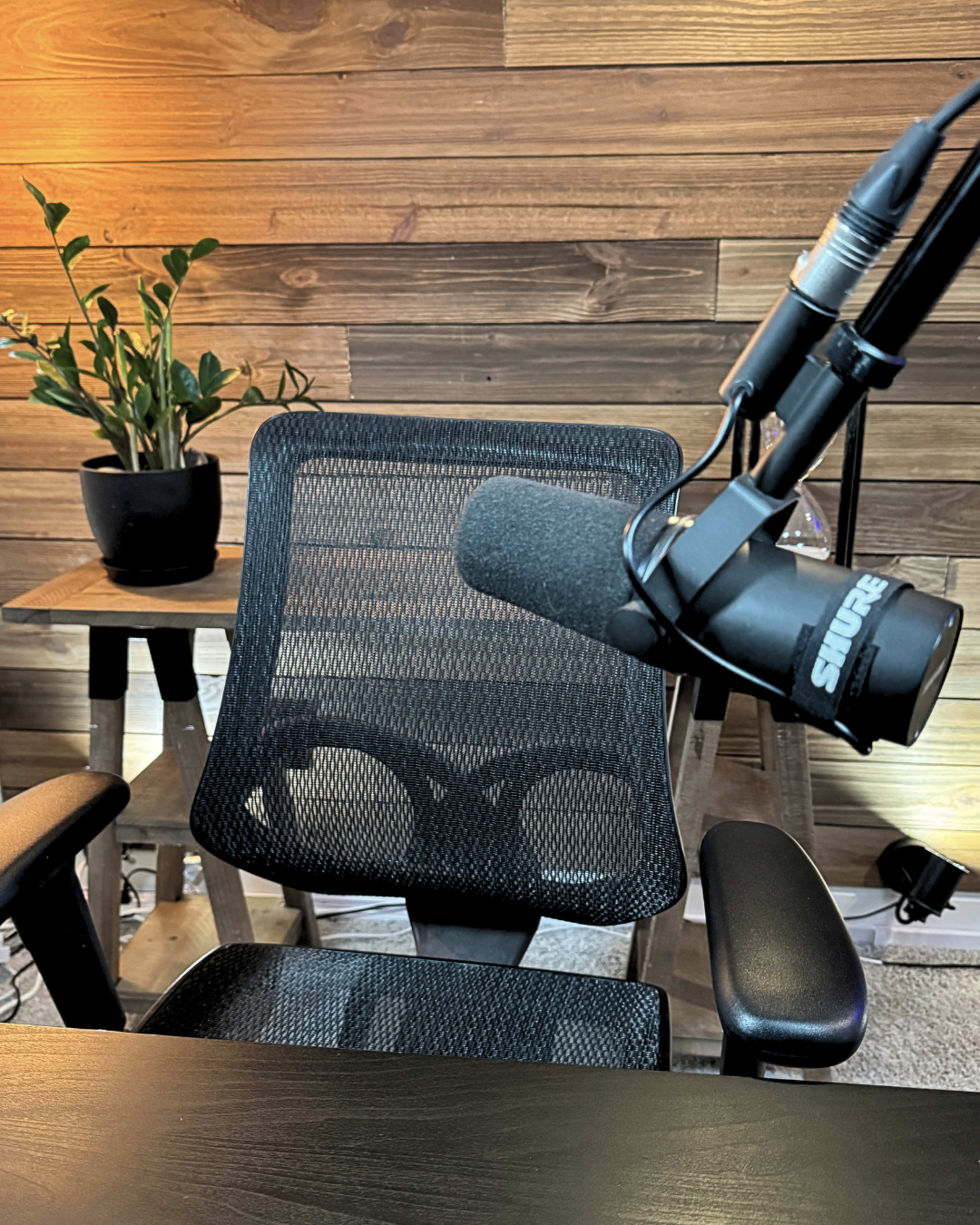 A black mesh office chair is positioned in front of a wooden wall with a plant on a table to the left and a microphone attached to an arm above the chair.