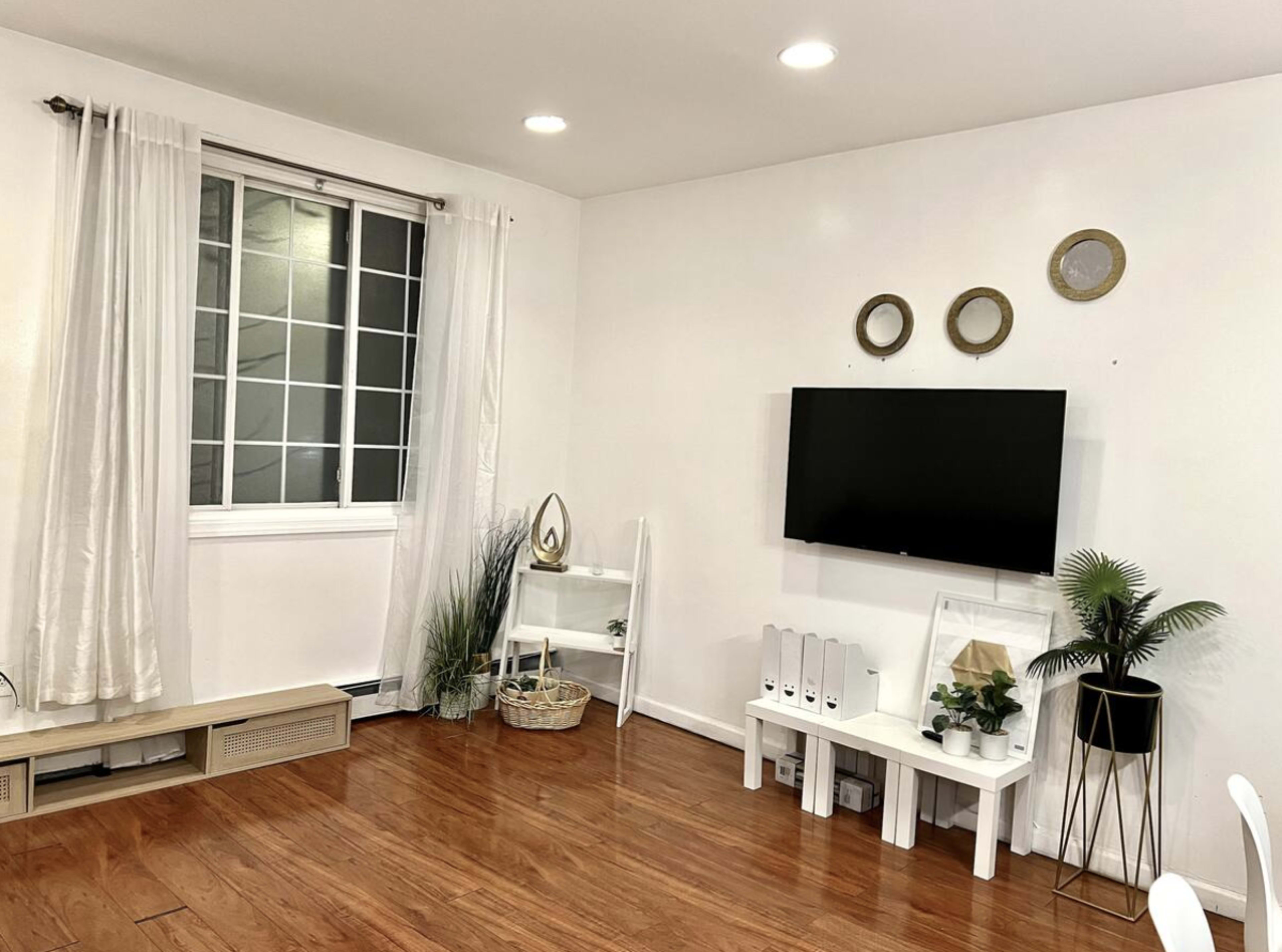 The room features a white wall with a mounted television, a wooden floor, a window with curtains, and a few decorative plants and shelves.