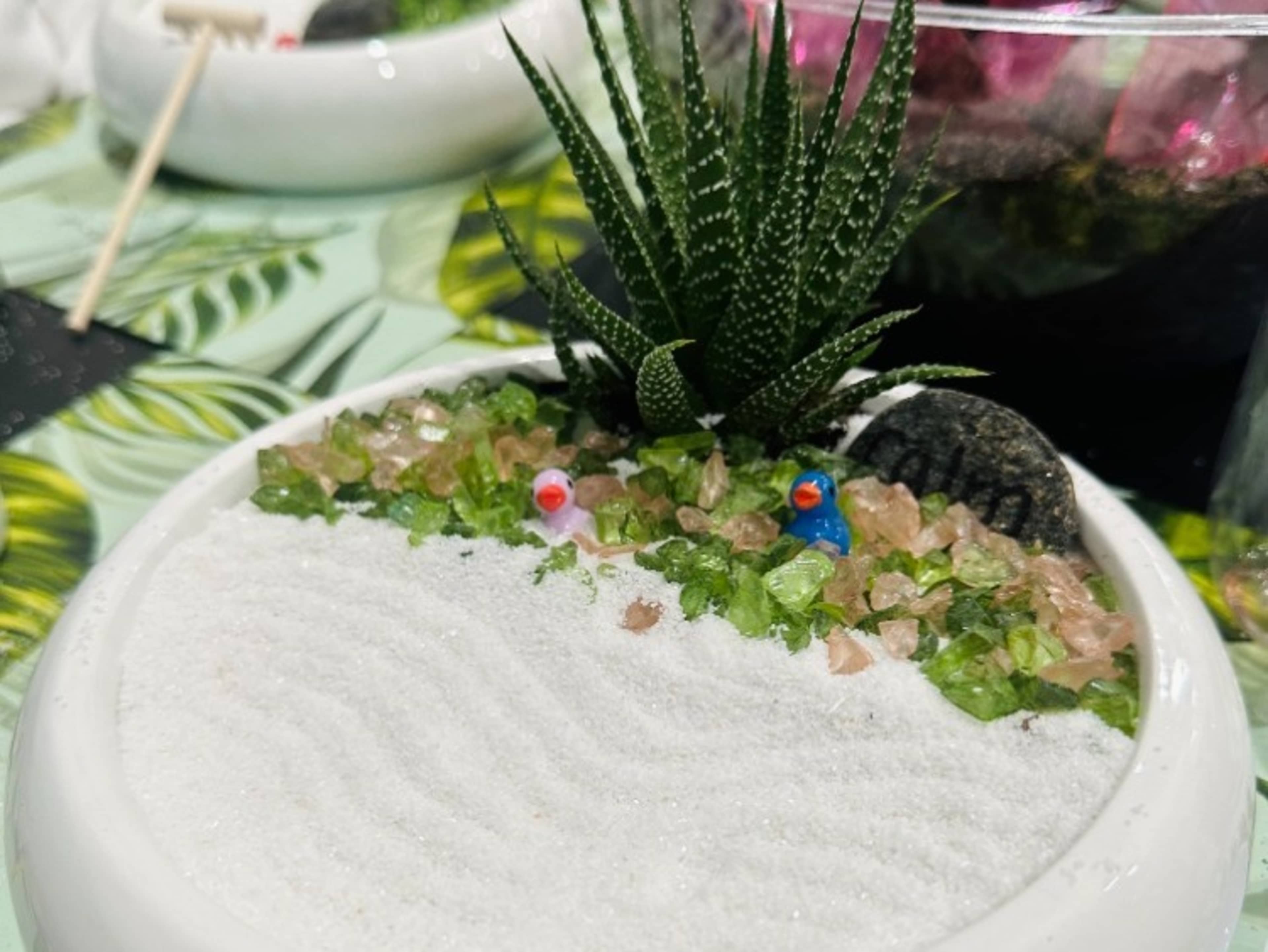 Zen Garden